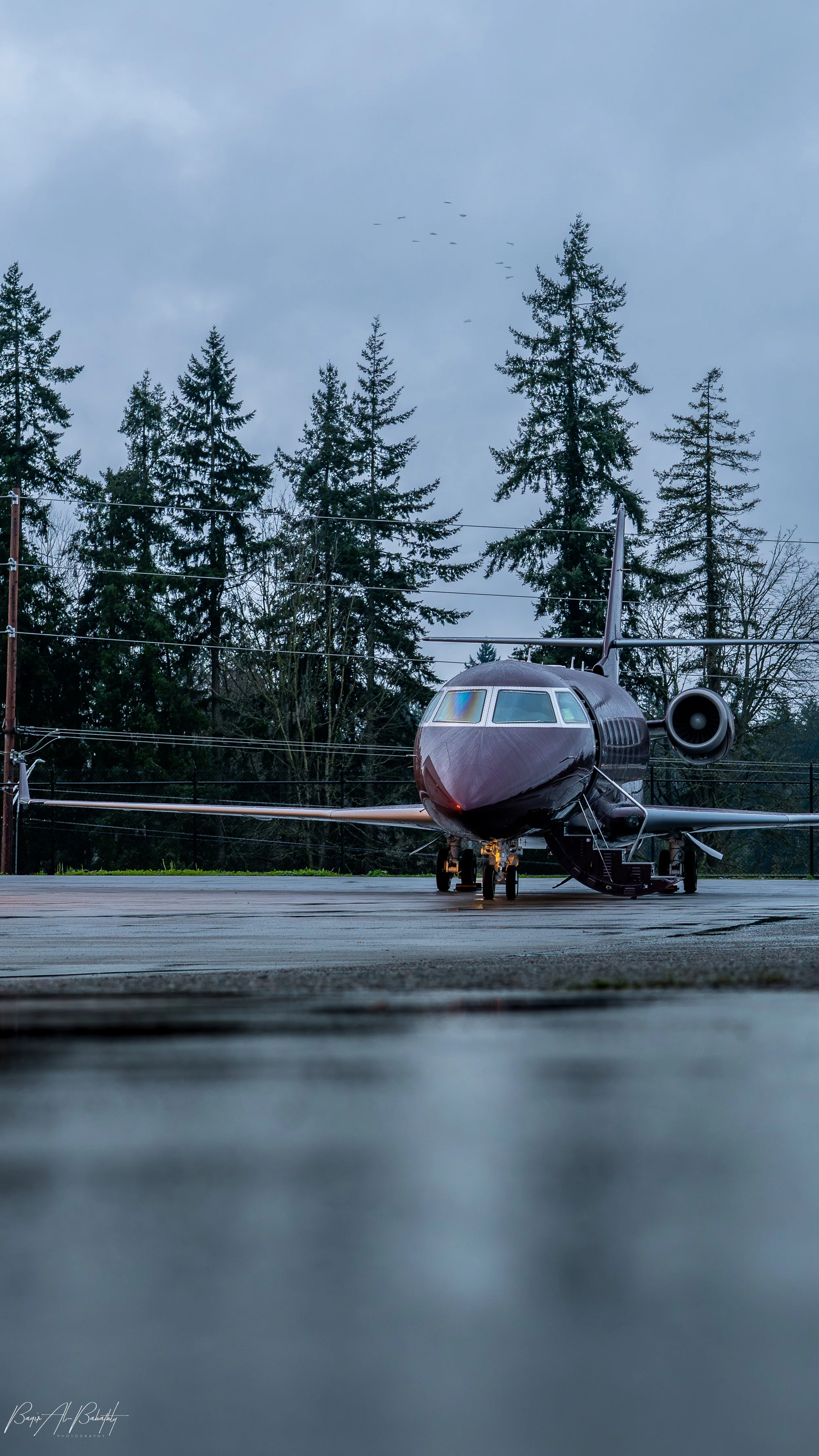 last 2025 edits-5.jpg