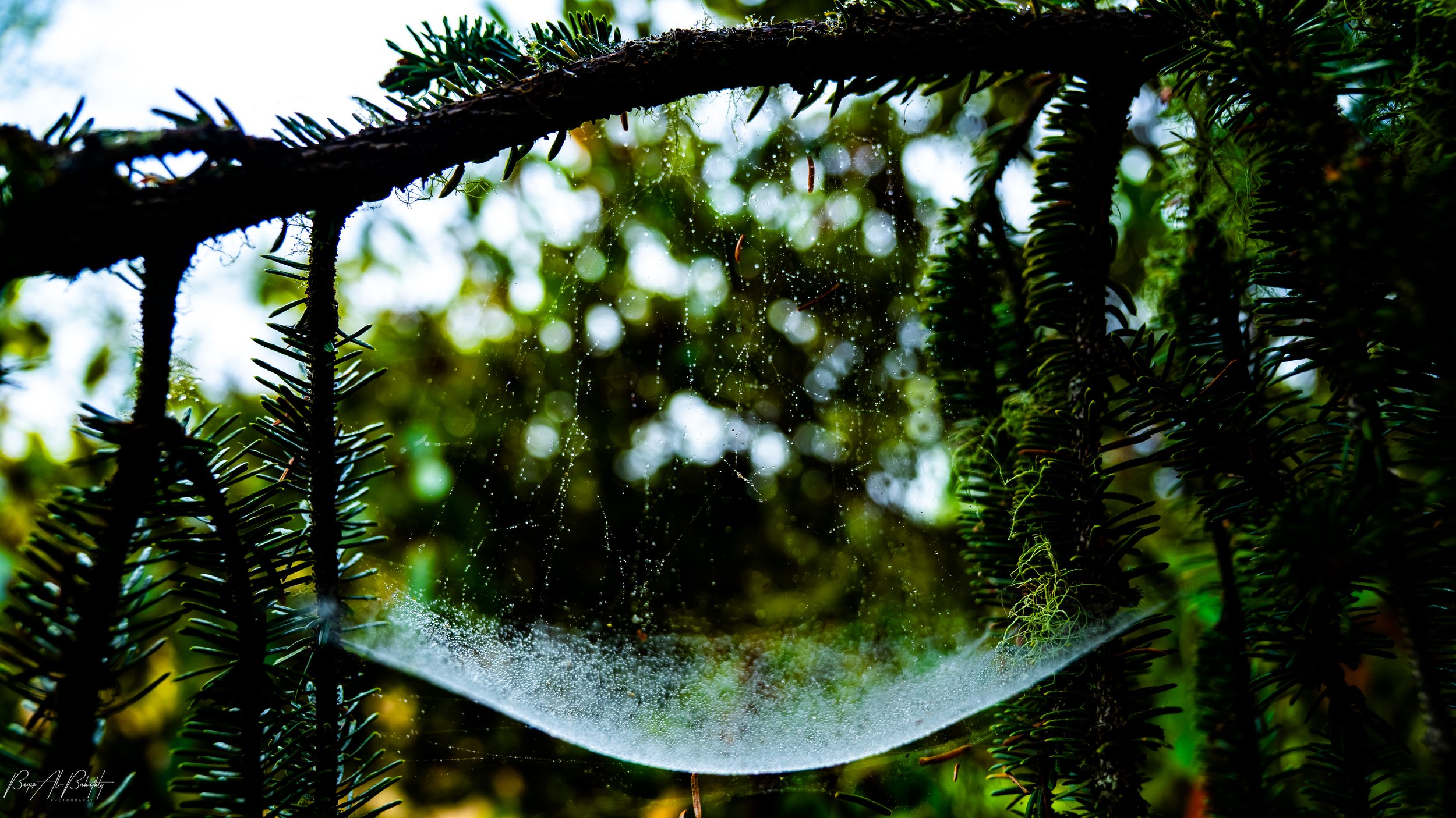 Long Beach 2025-11.jpg