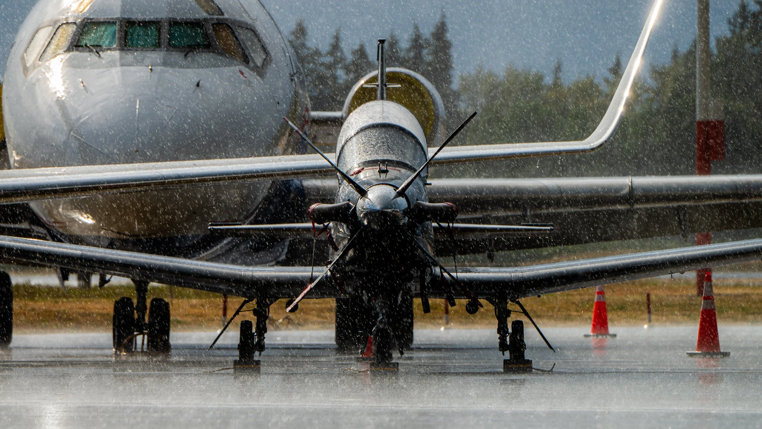 Rainy T6II190824_7.jpg