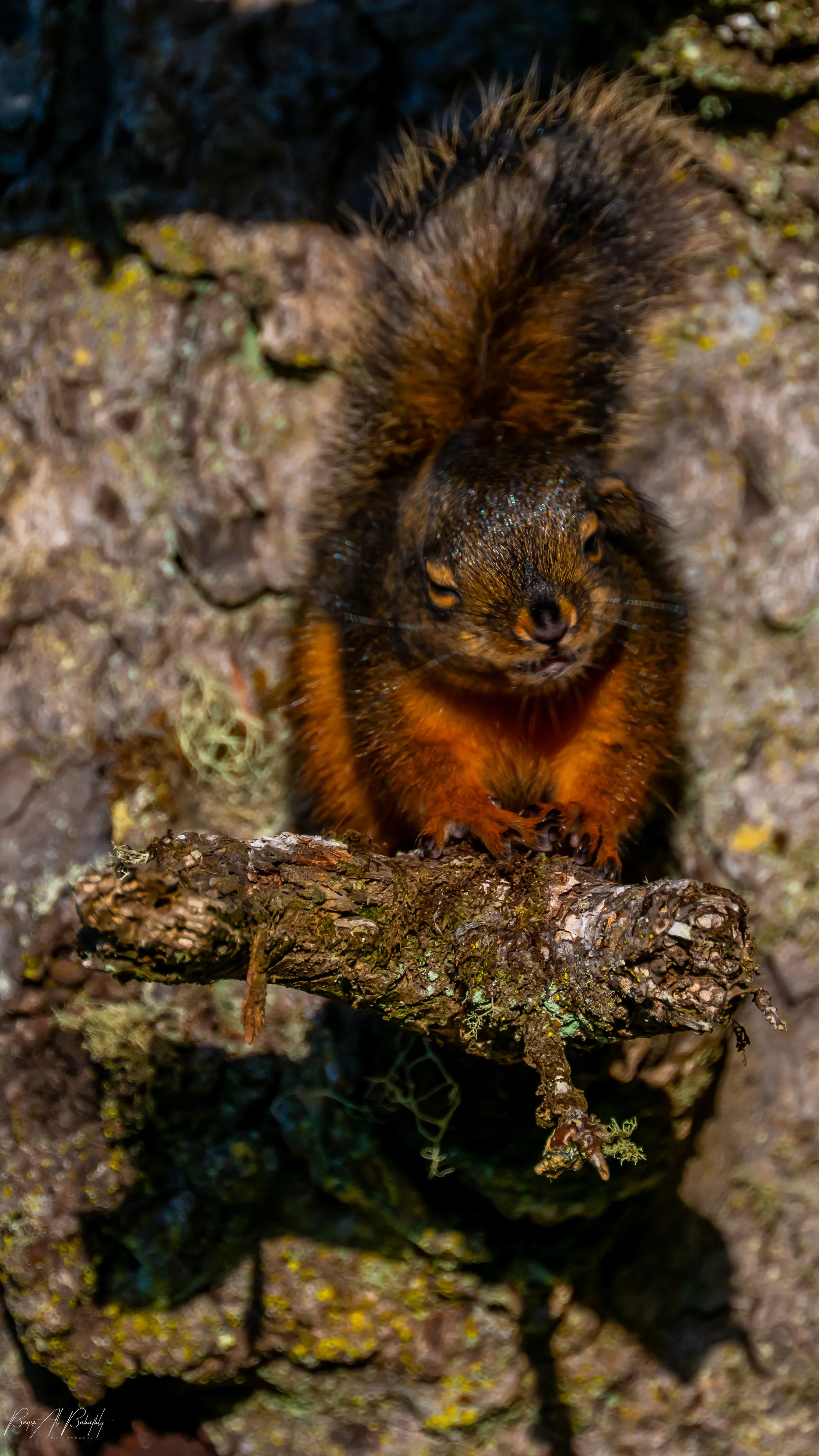 Long beach 2025-12.jpg