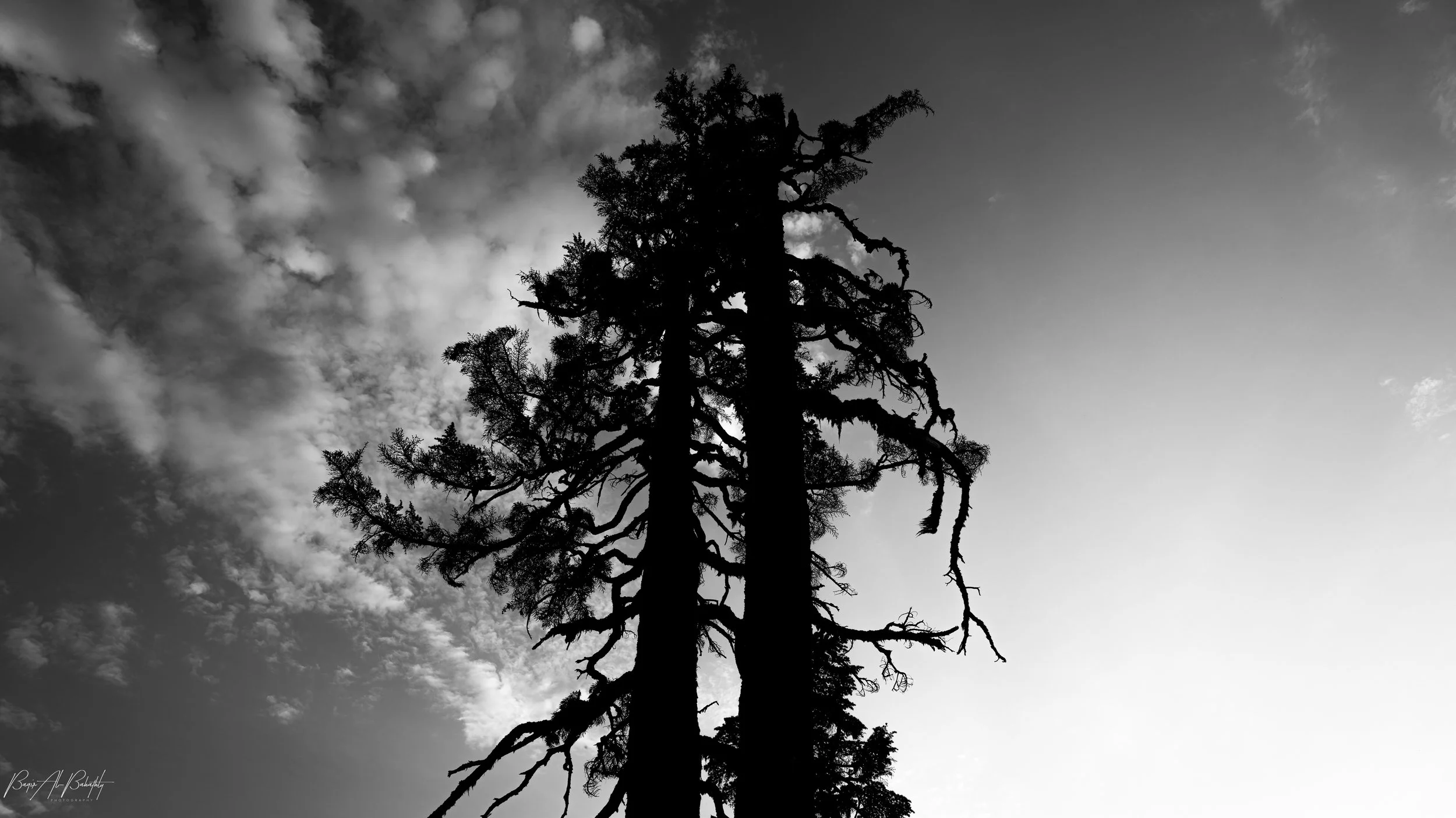 Mt Baker 2025-14.jpg