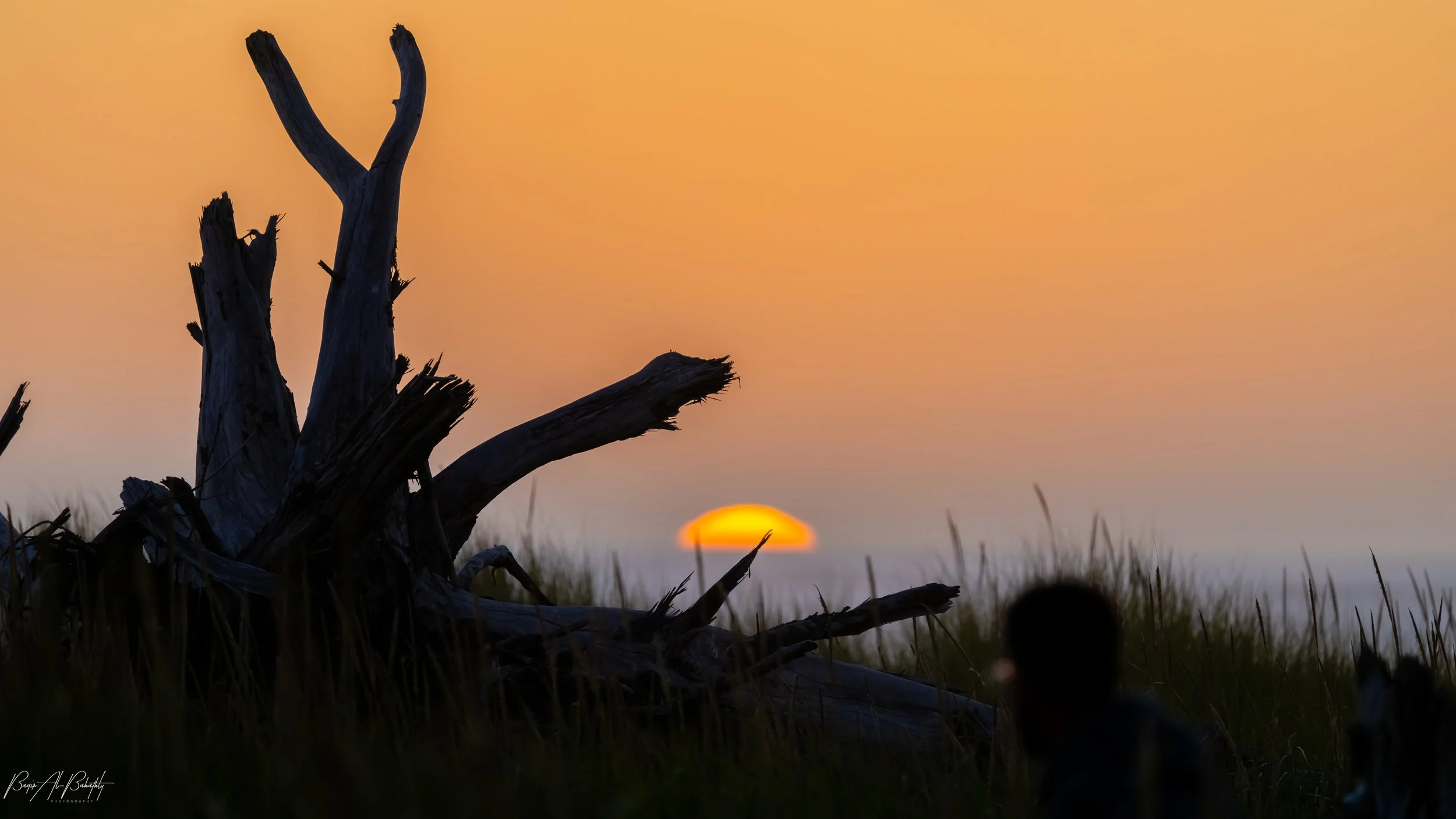 Long Beach 2025-1.jpg