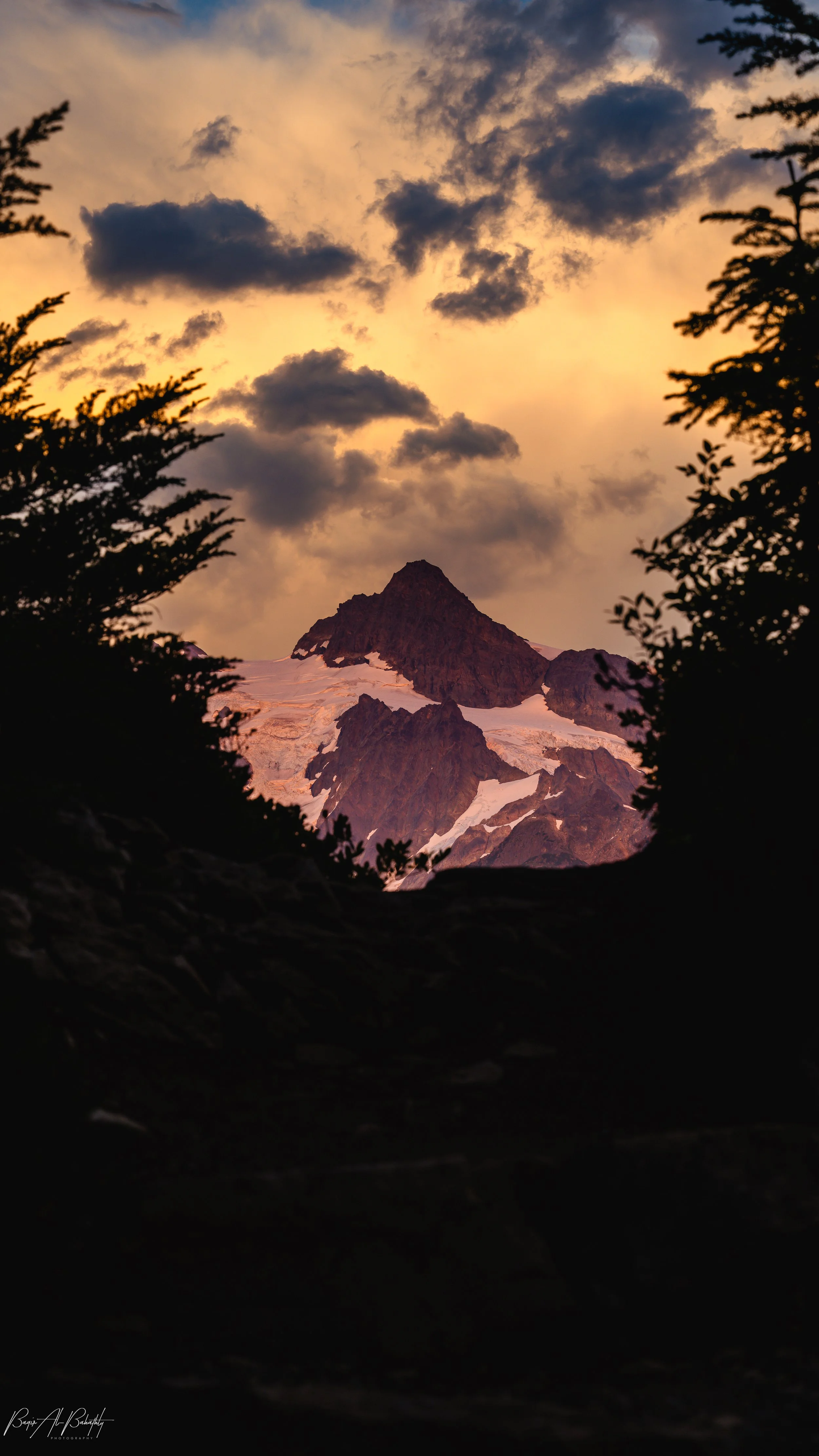 Mt Baker 2025-31.jpg