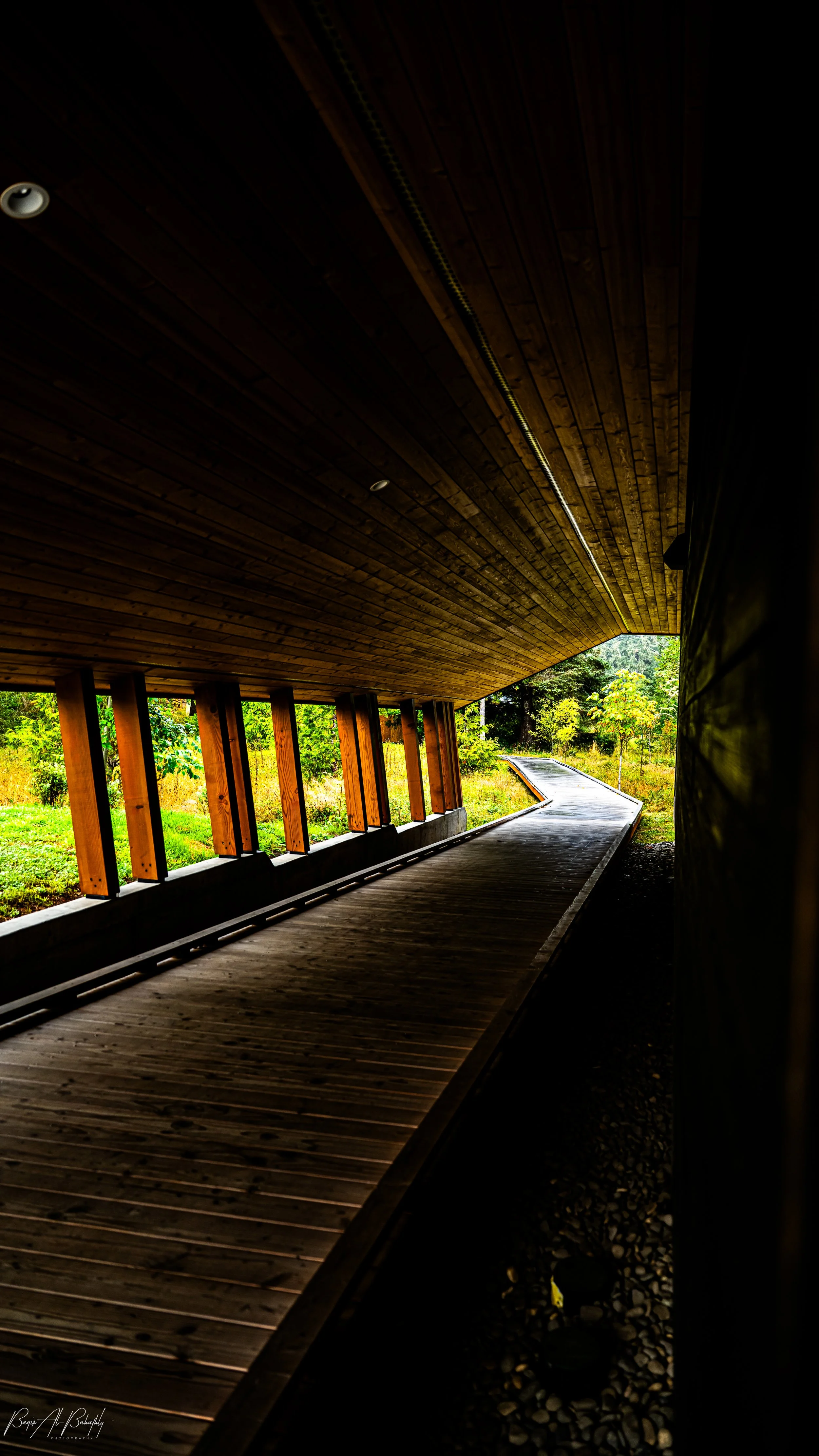 Long Beach 2025-10.jpg