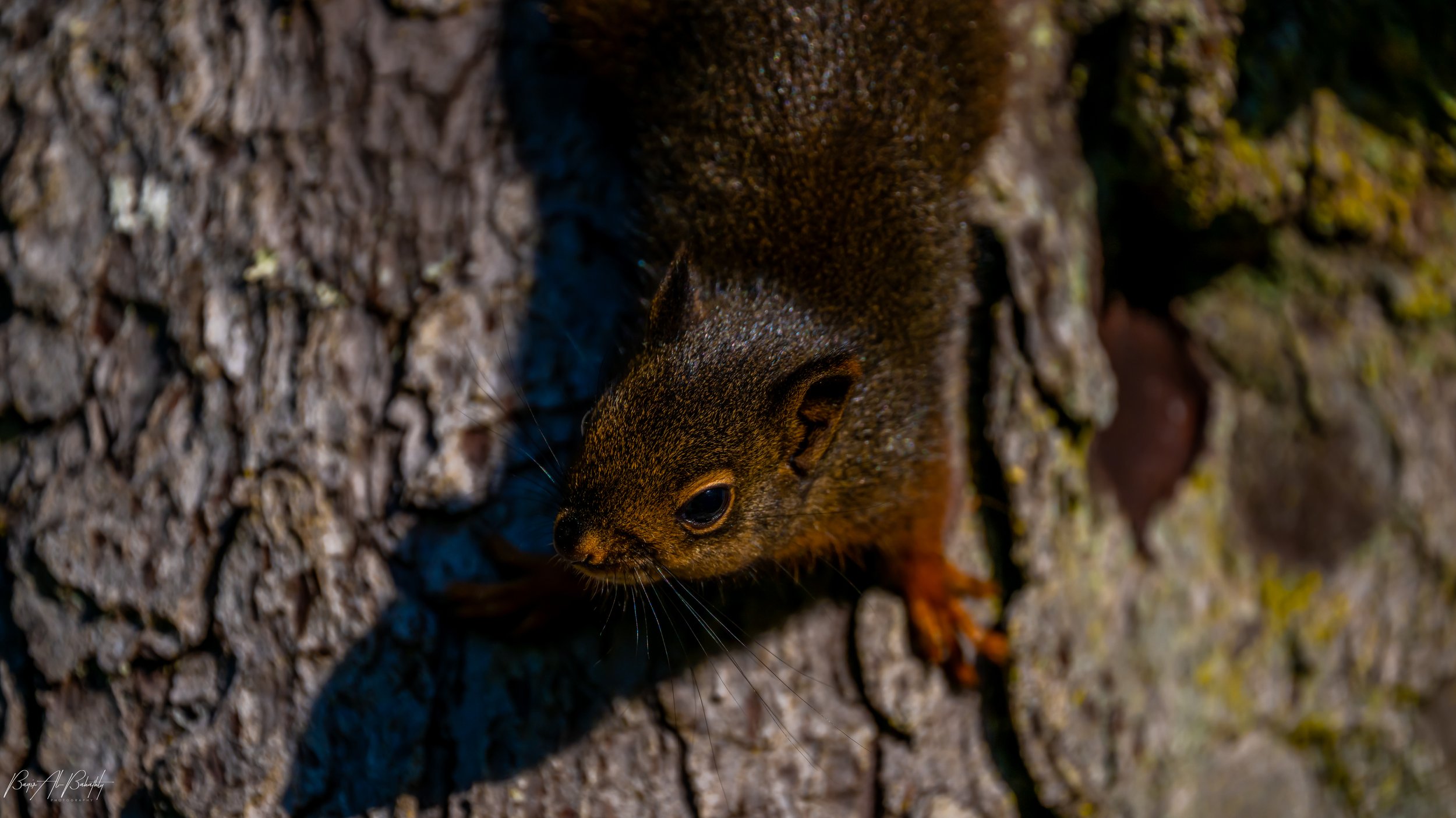 Long beach 2025-13.jpg