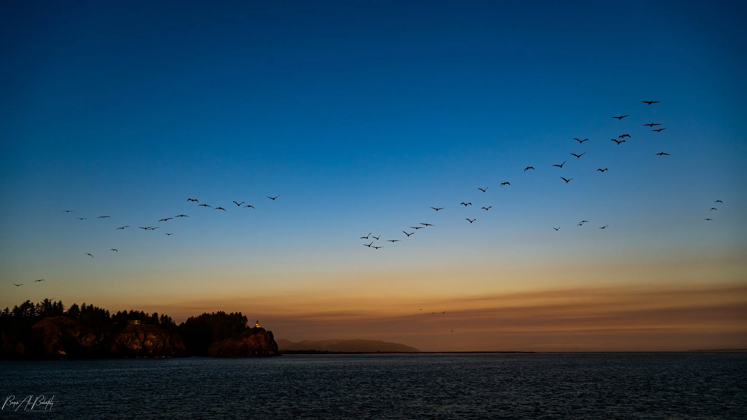 Long beach 2025-19.jpg