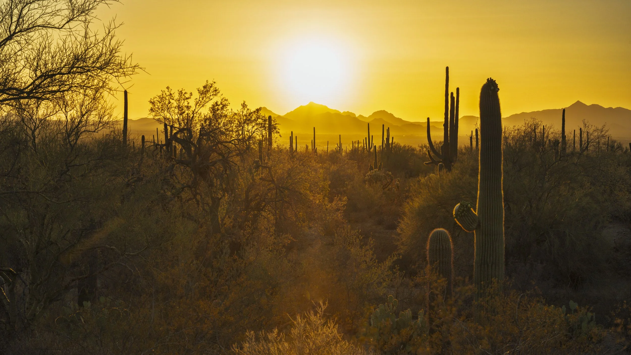 Western Road Trip 2025