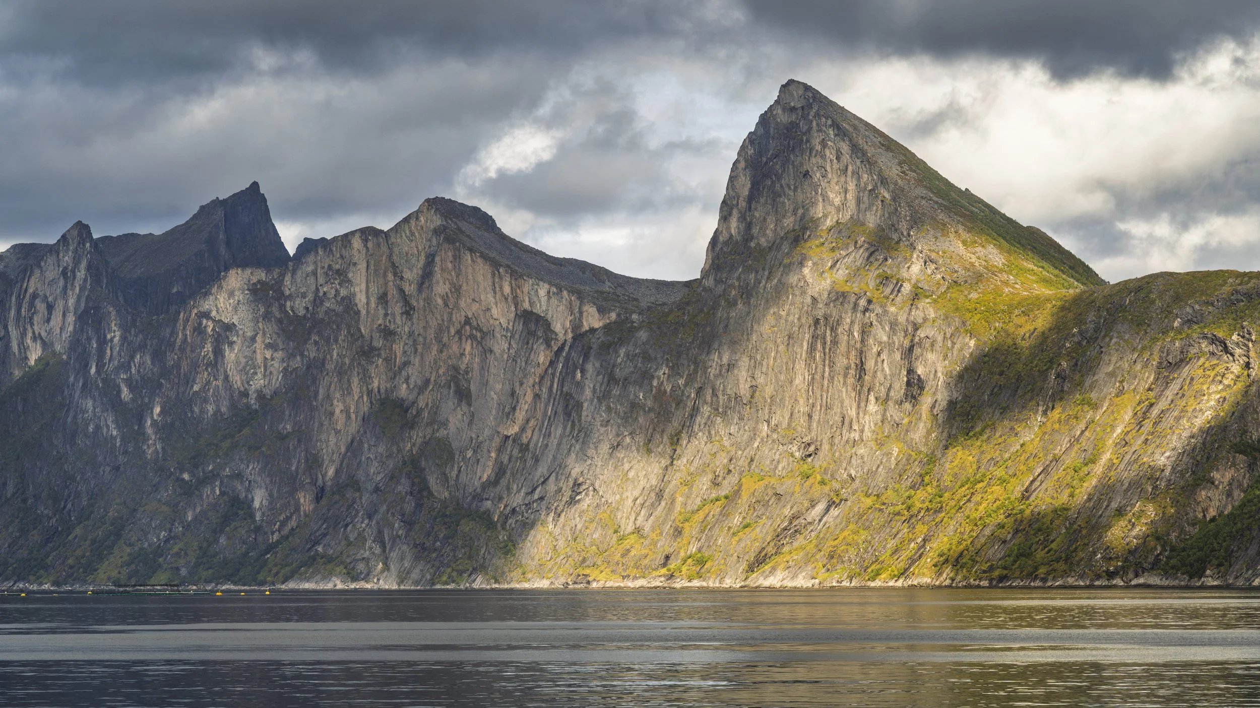 Senja