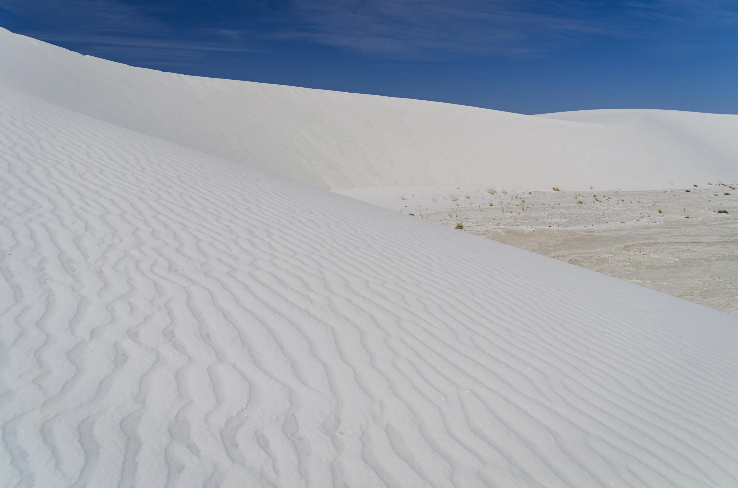 01-White Sands NP_RWL0502.jpg