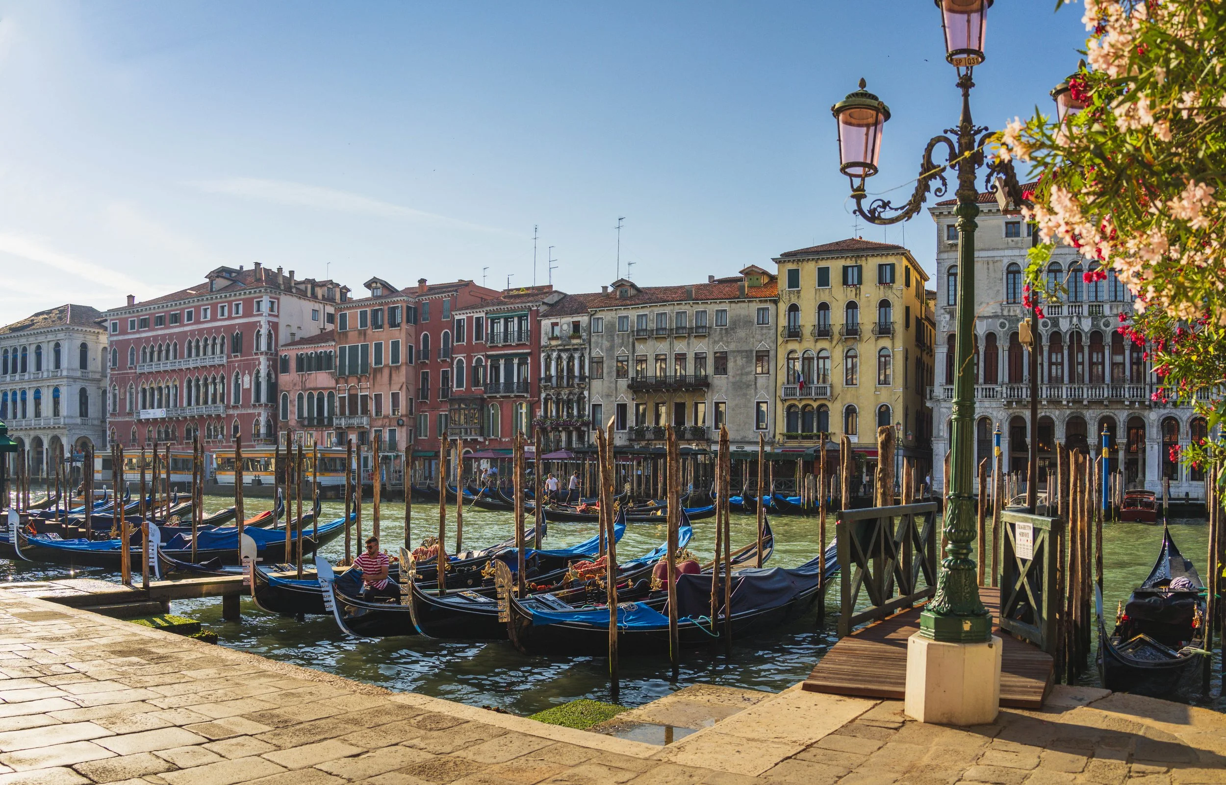 18-VeniceVenice__RWL0566-Pano.jpg