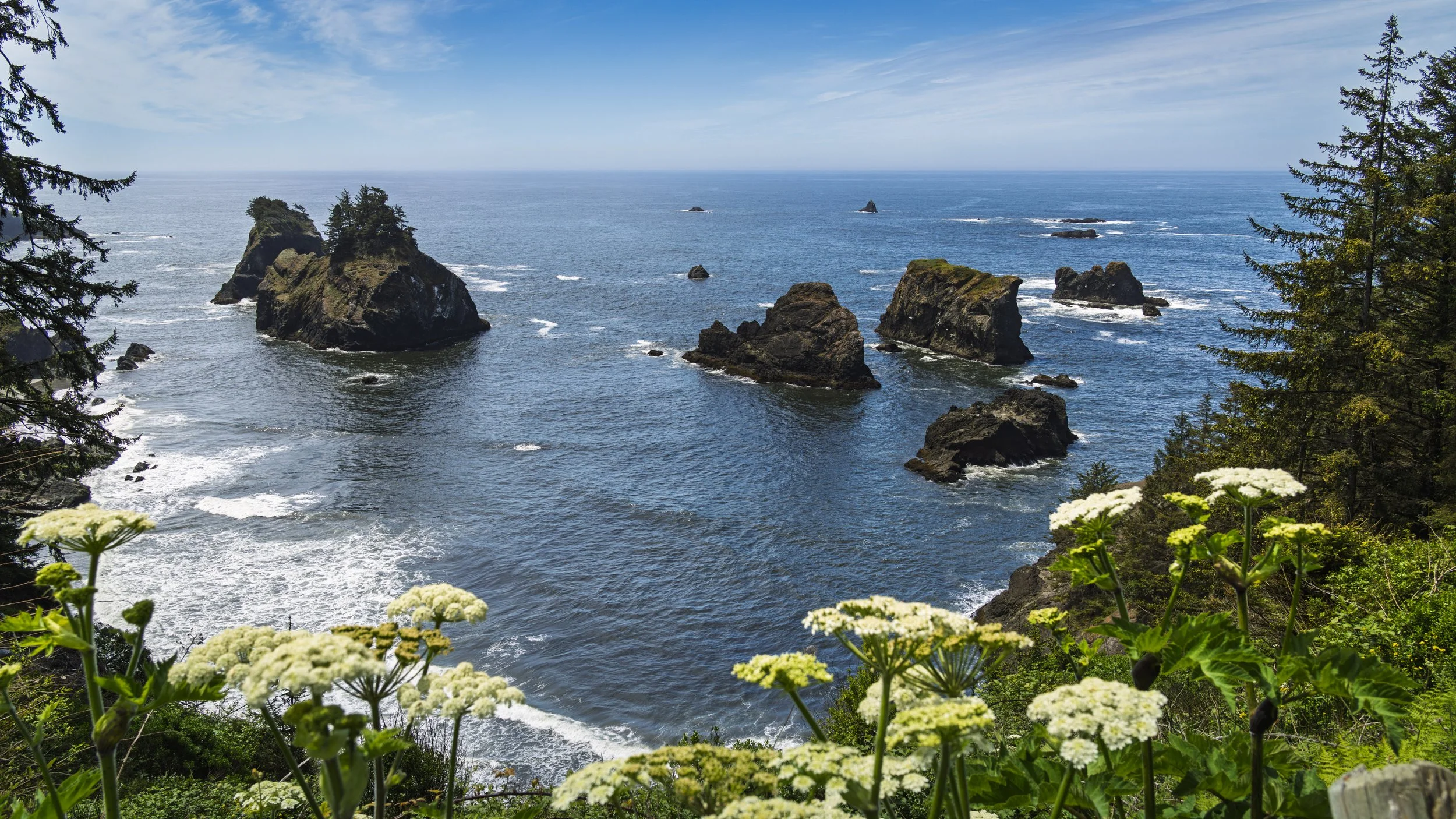 Oregon Coast