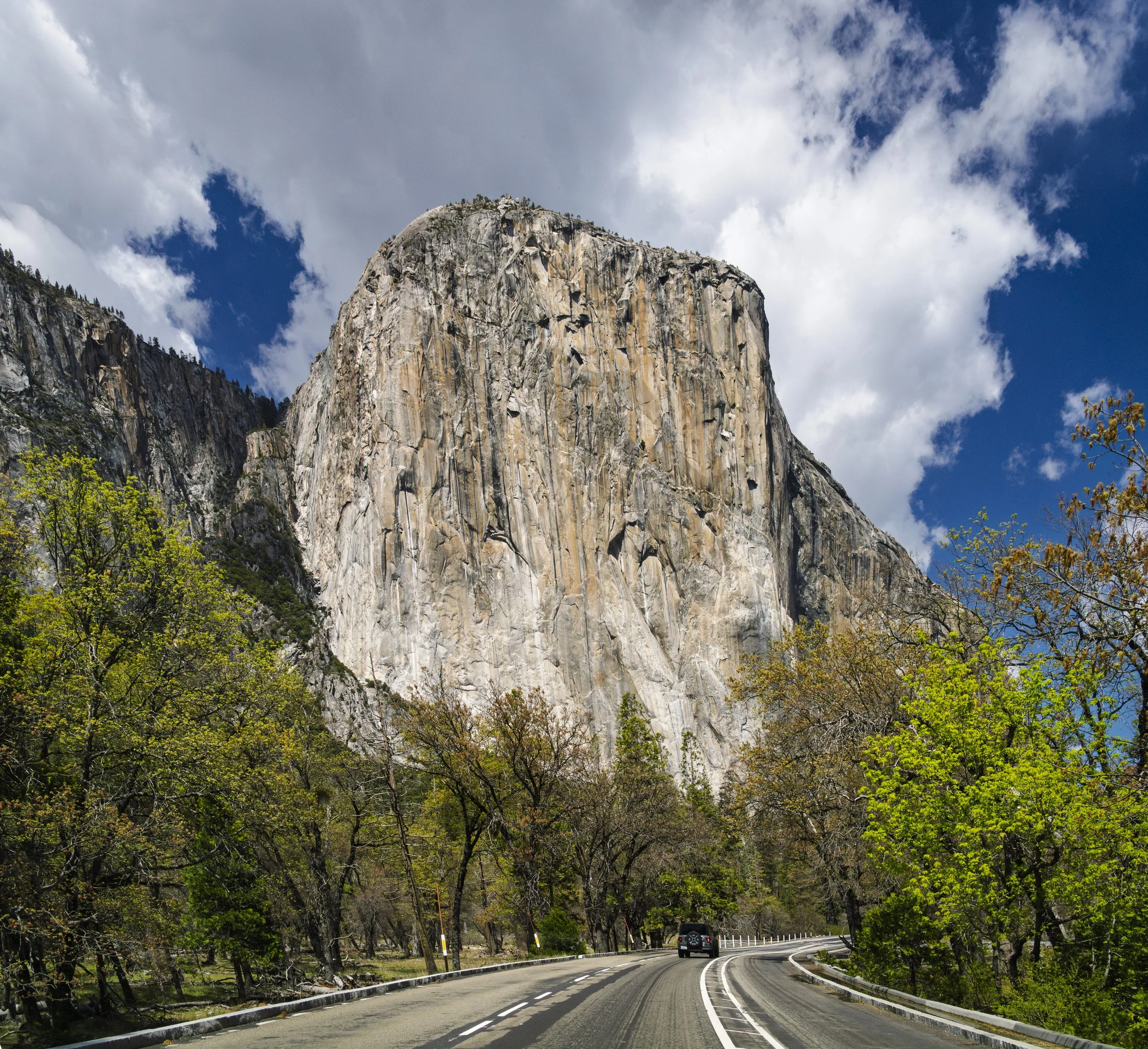 Yosemite National Park