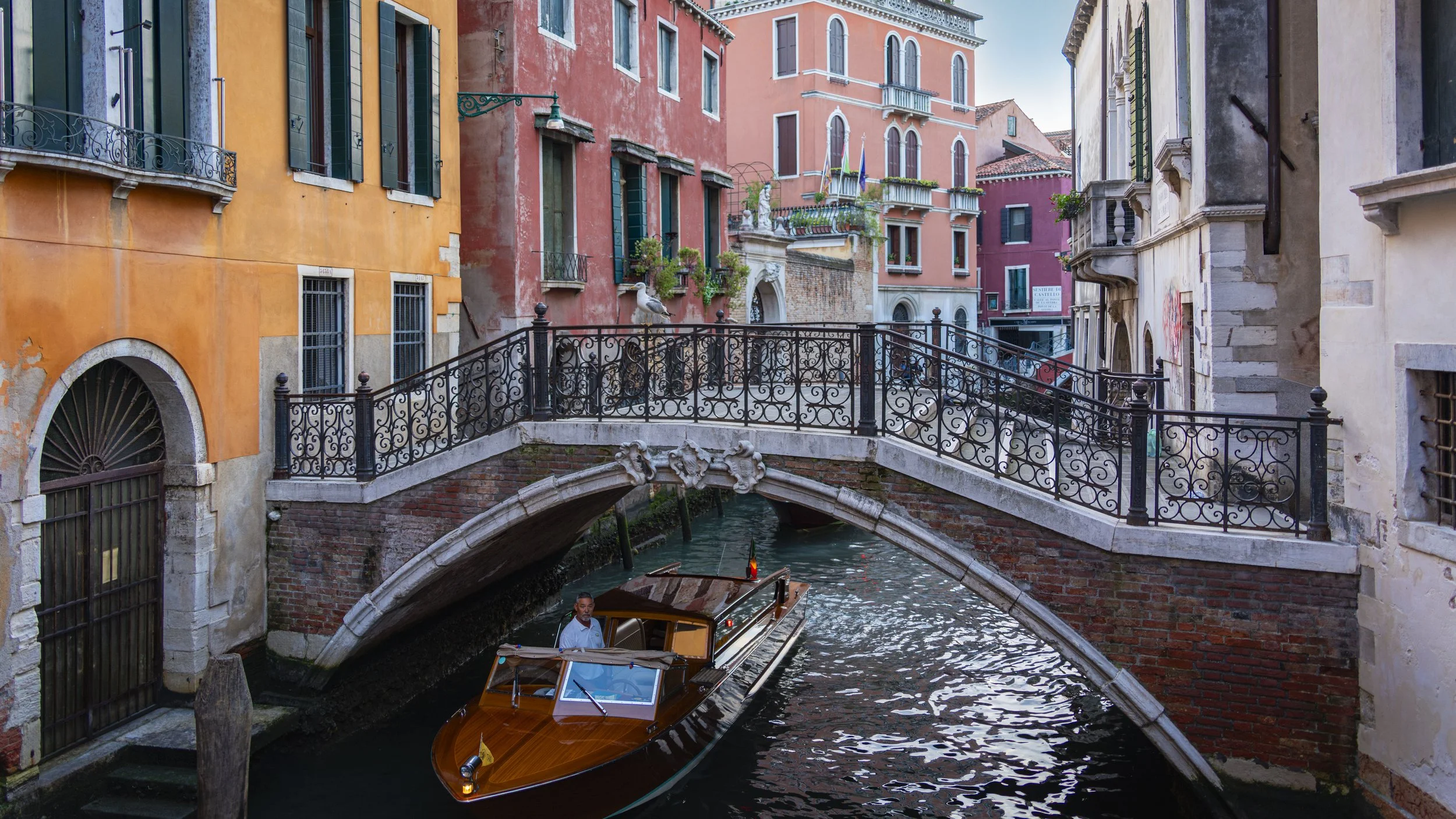 34-Venice__RWL0861-2.jpg