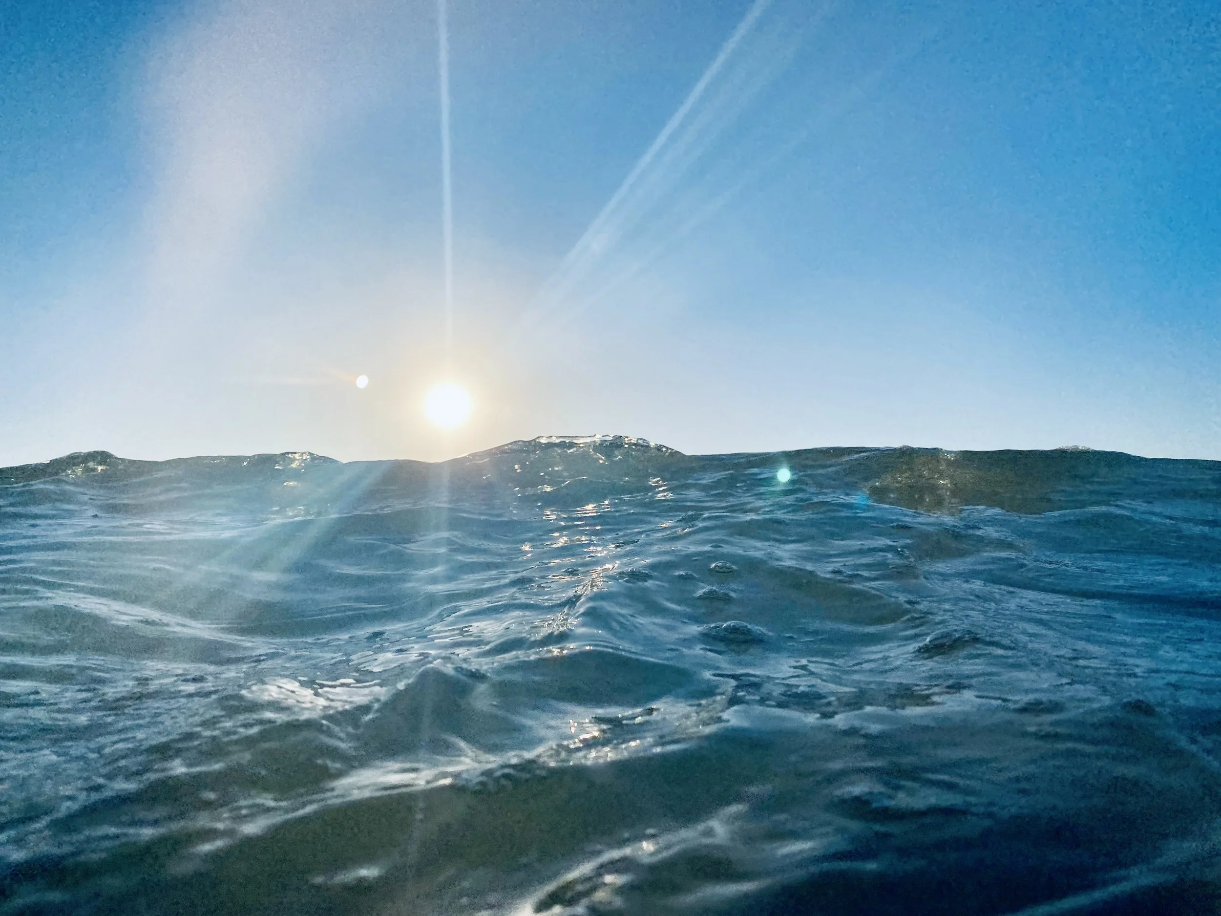 Introducing Wild Waters