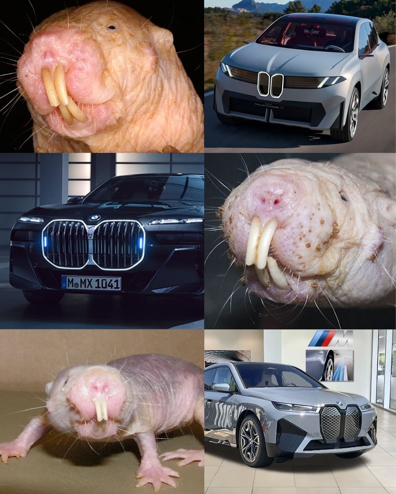 Built for performance