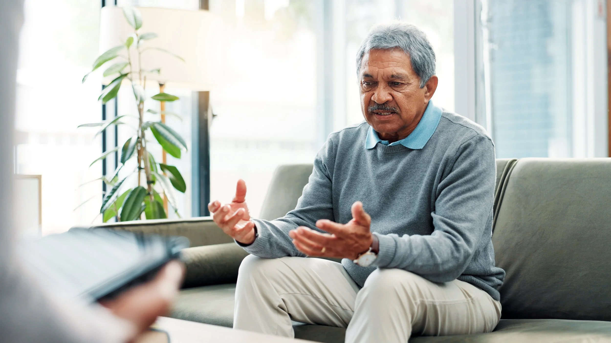 An elderly man sitting on a sofa, engaged in conversation, gesturing with his hands, in a bright room with large windows and indoor plants.