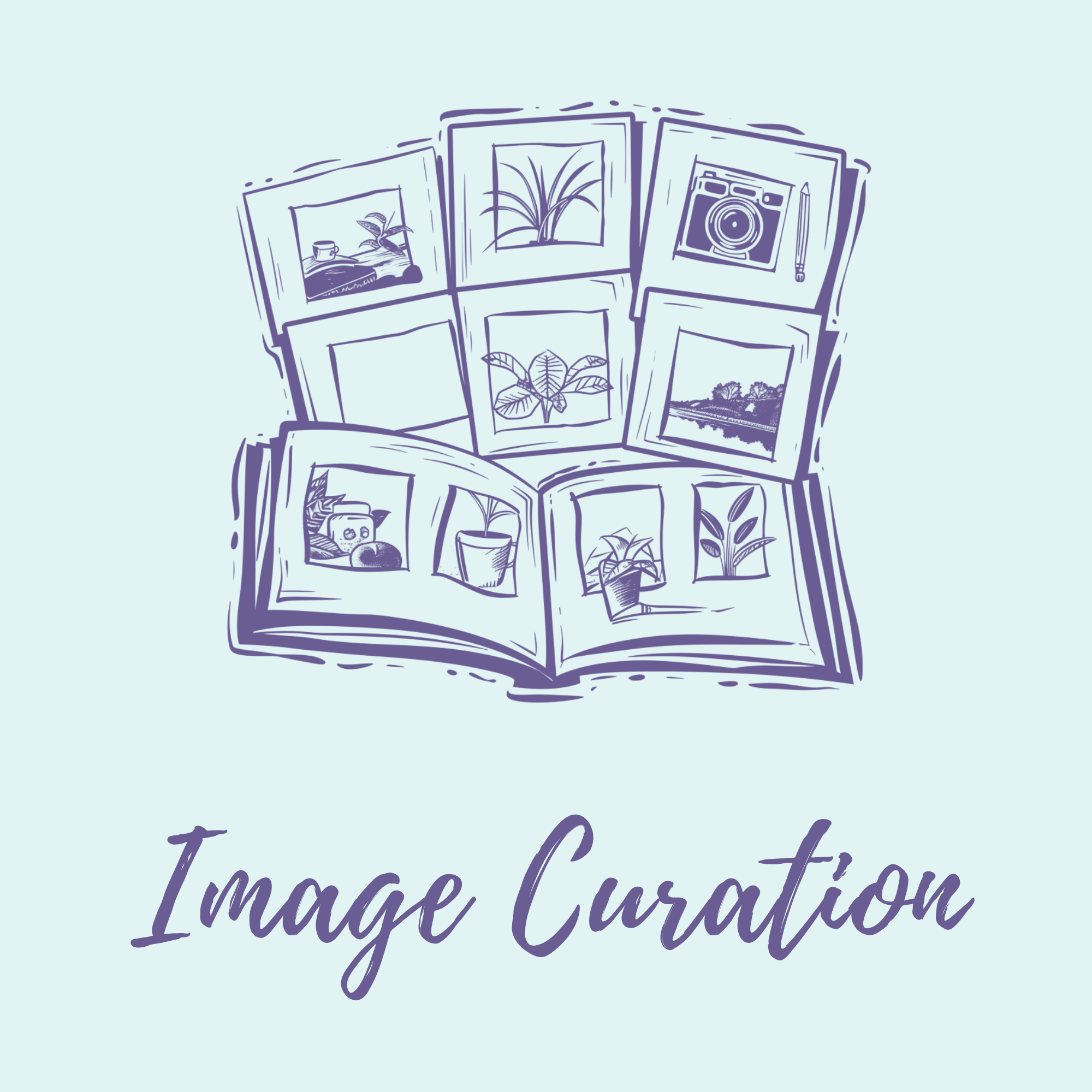 An illustration of an open book with various framed pictures of plants, a landscape, a camera, and art on its pages, with the text 'Image Curation' written below.