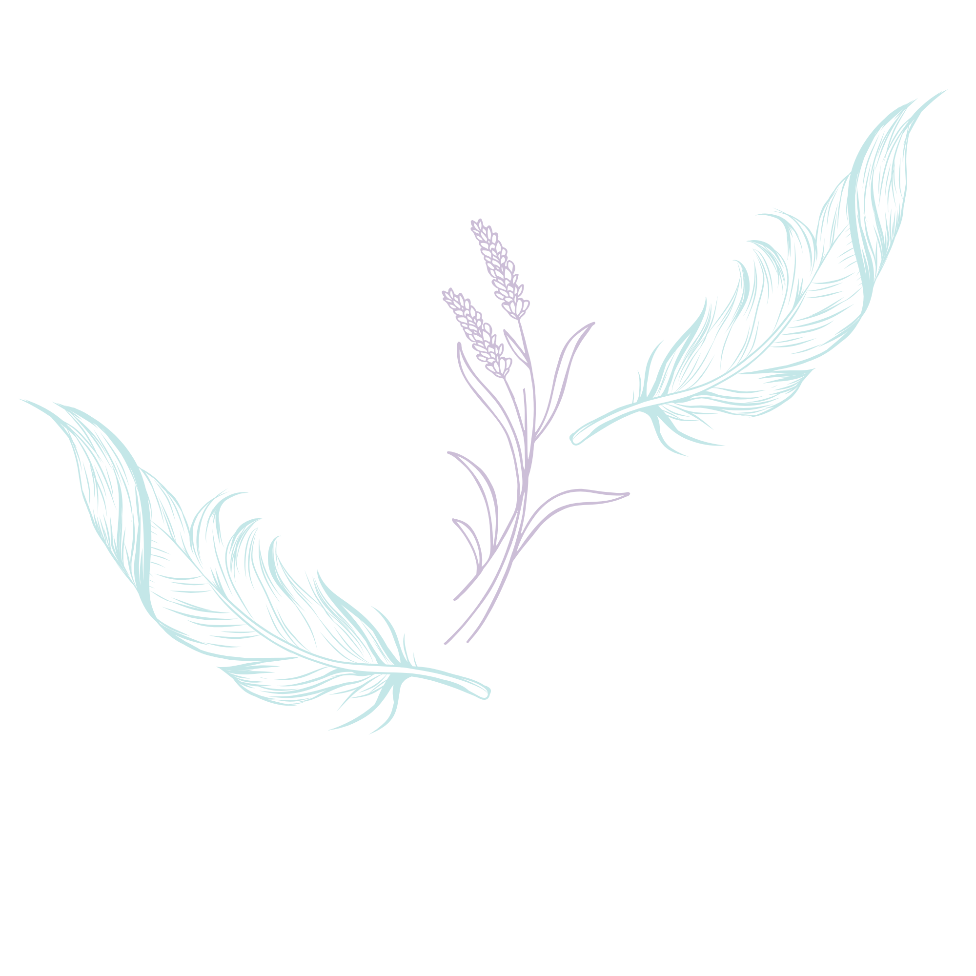 Illustration of two pastel-colored feathers with a sprig of lavender in the center on a blank background.