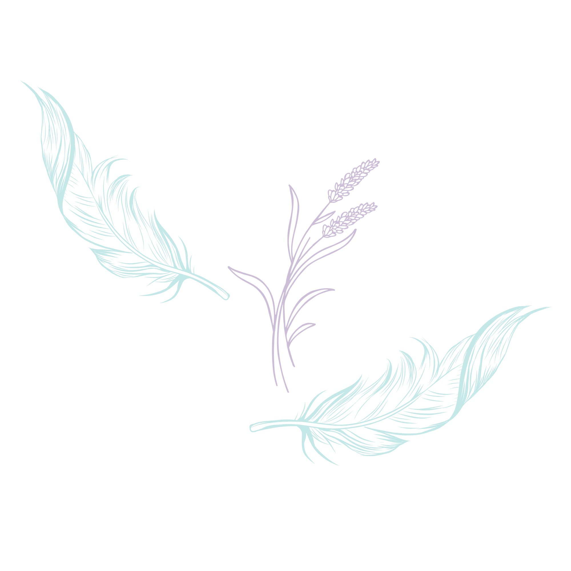 Illustration of two light blue feathers and a purple plant with wheat stalks on a black background.