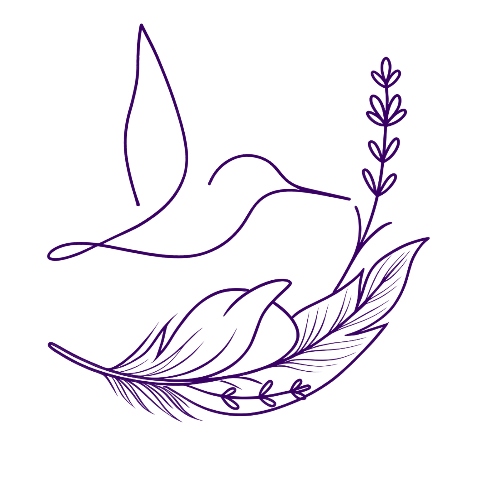 Line drawing of a hummingbird with outstretched wings hovering above a feather and lavender sprig in purple outline.