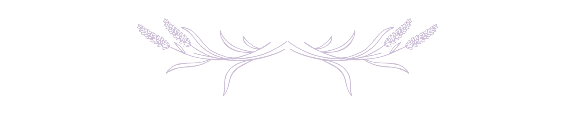 Illustration of lavender sprigs in lavender color.