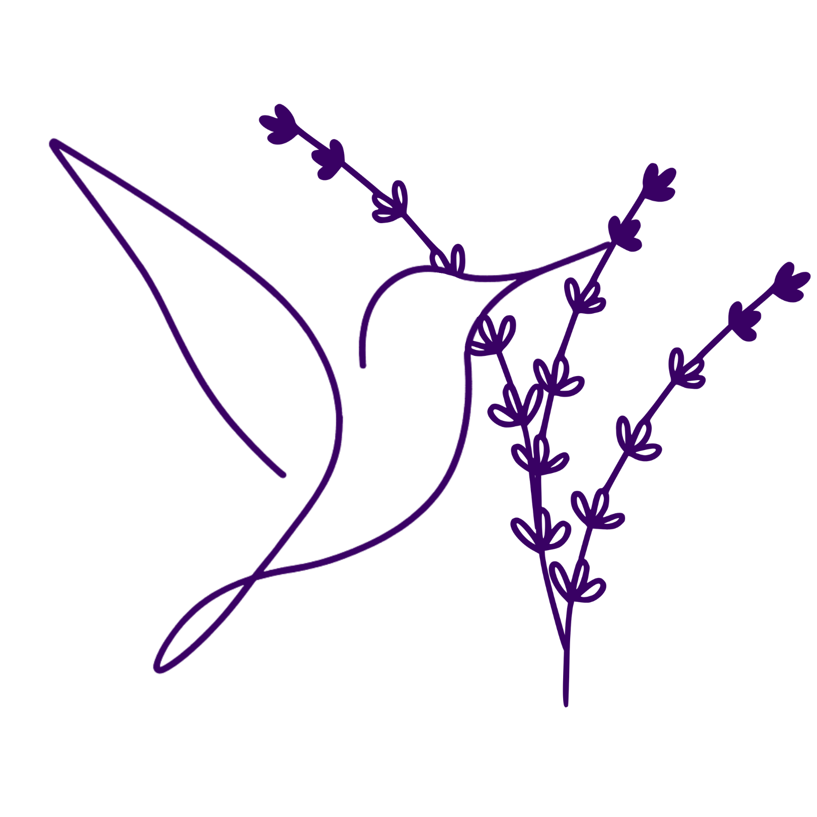 Outline drawing of a hummingbird with a long beak, hovering near sprigs of lavender flowers, all rendered in purple lines.