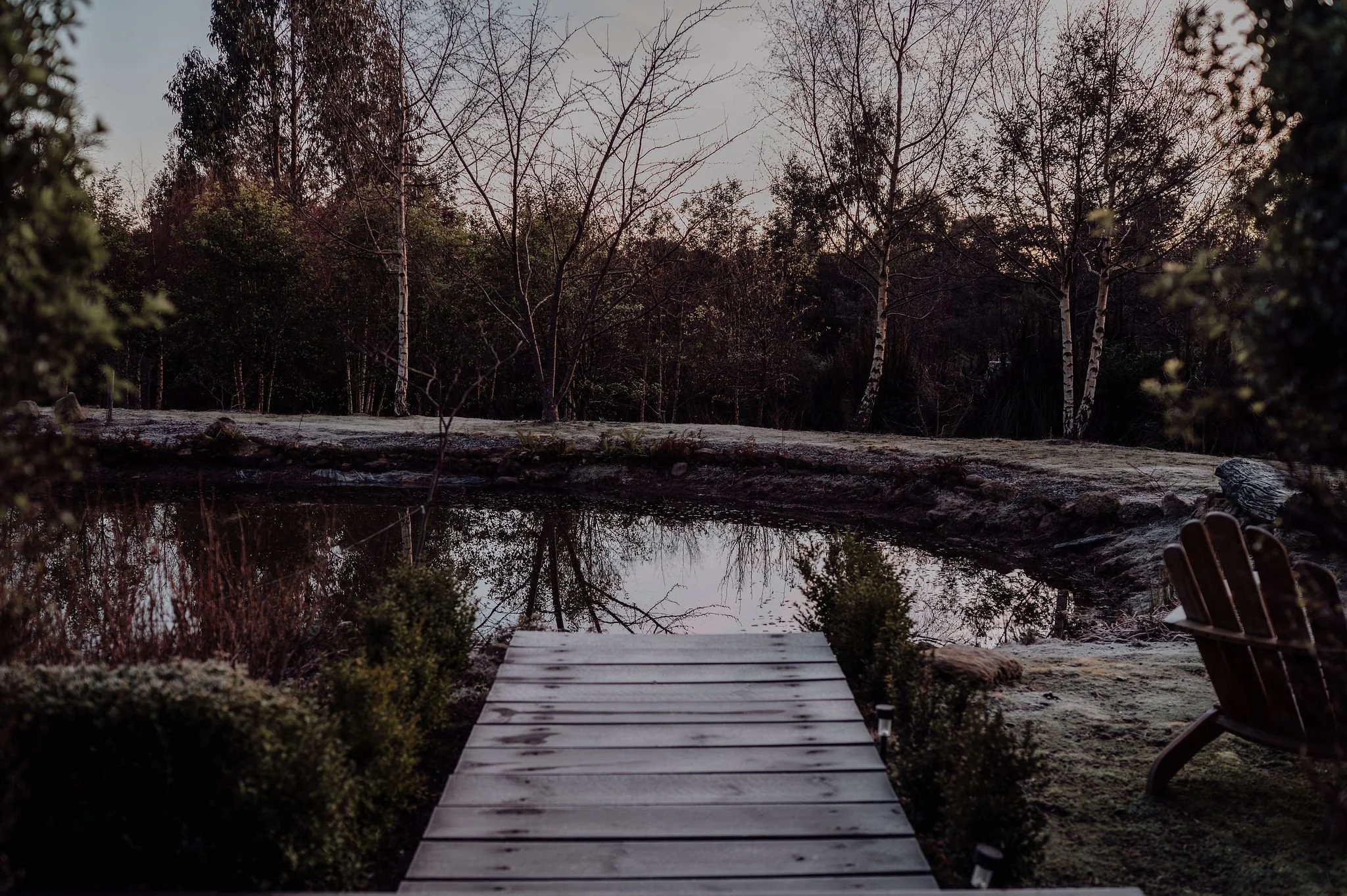 pond