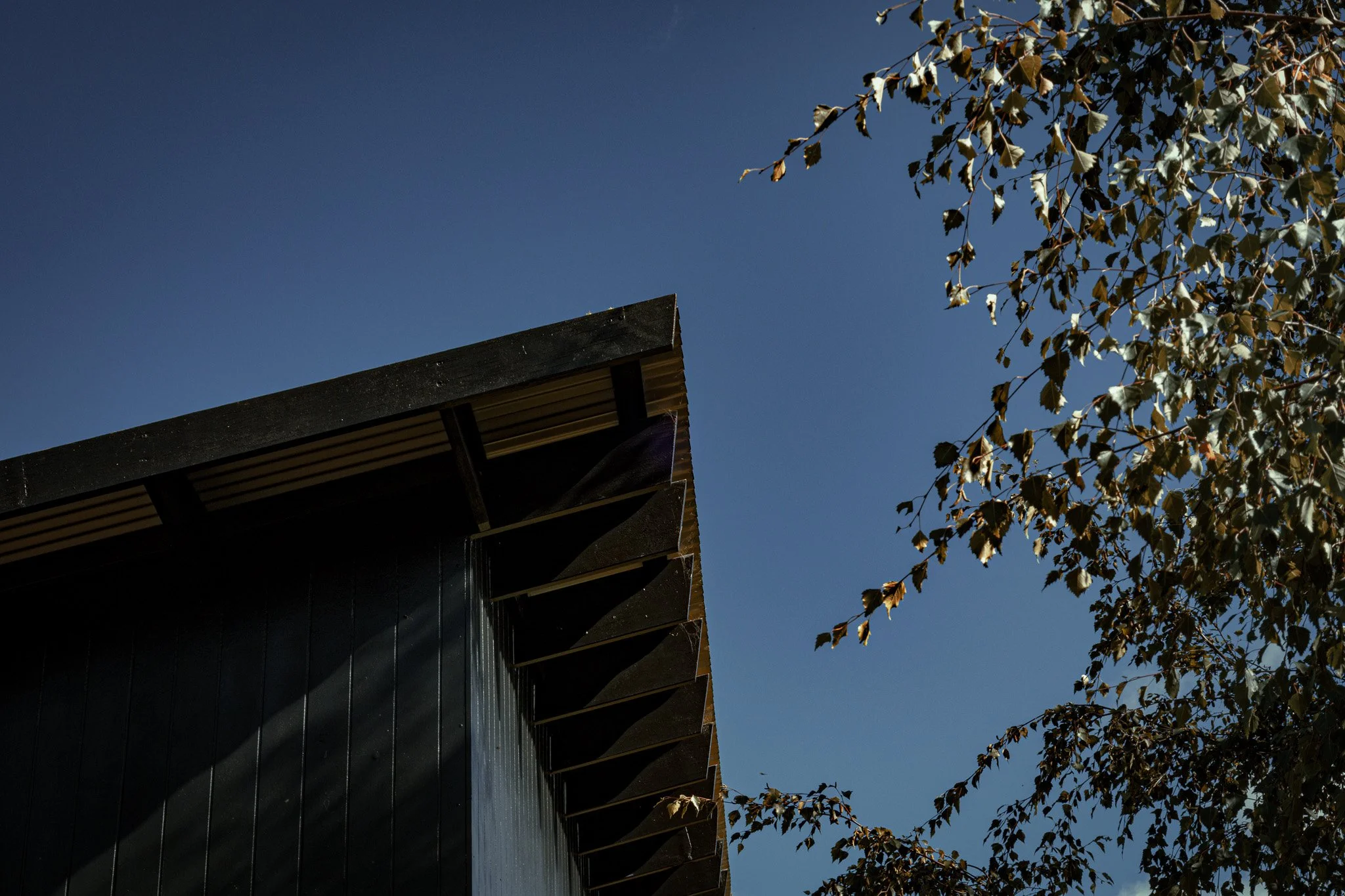 Part of a building with a dark roof and vertical metal siding, with tree branches and leaves against a clear blue sky.