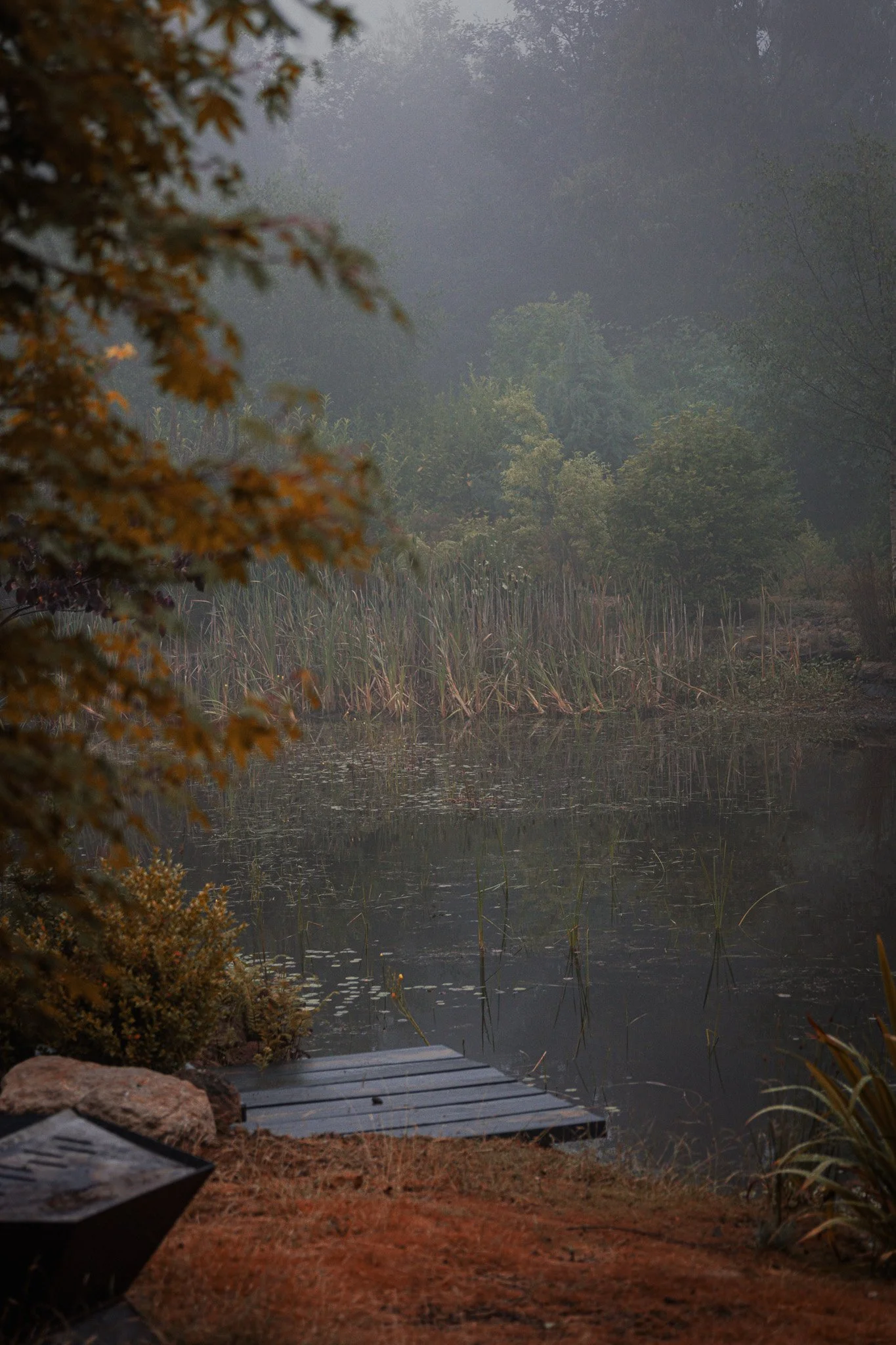 A misty pond with reeds and trees, a wooden dock at the water's edge, surrounded by autumn foliage.