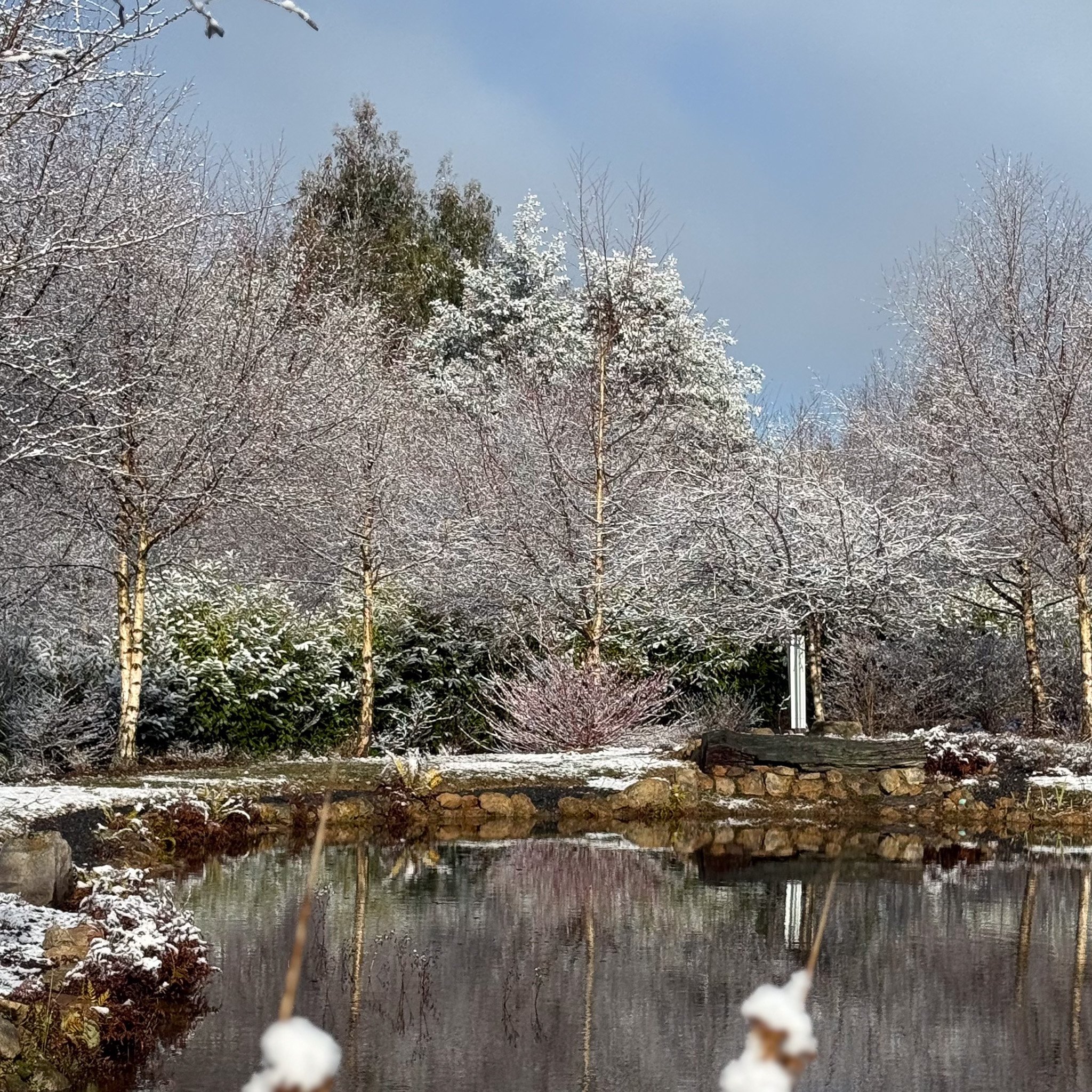 Snow-covered trees and shrubs reflected in a pond with a stone border, under a cloudy sky.