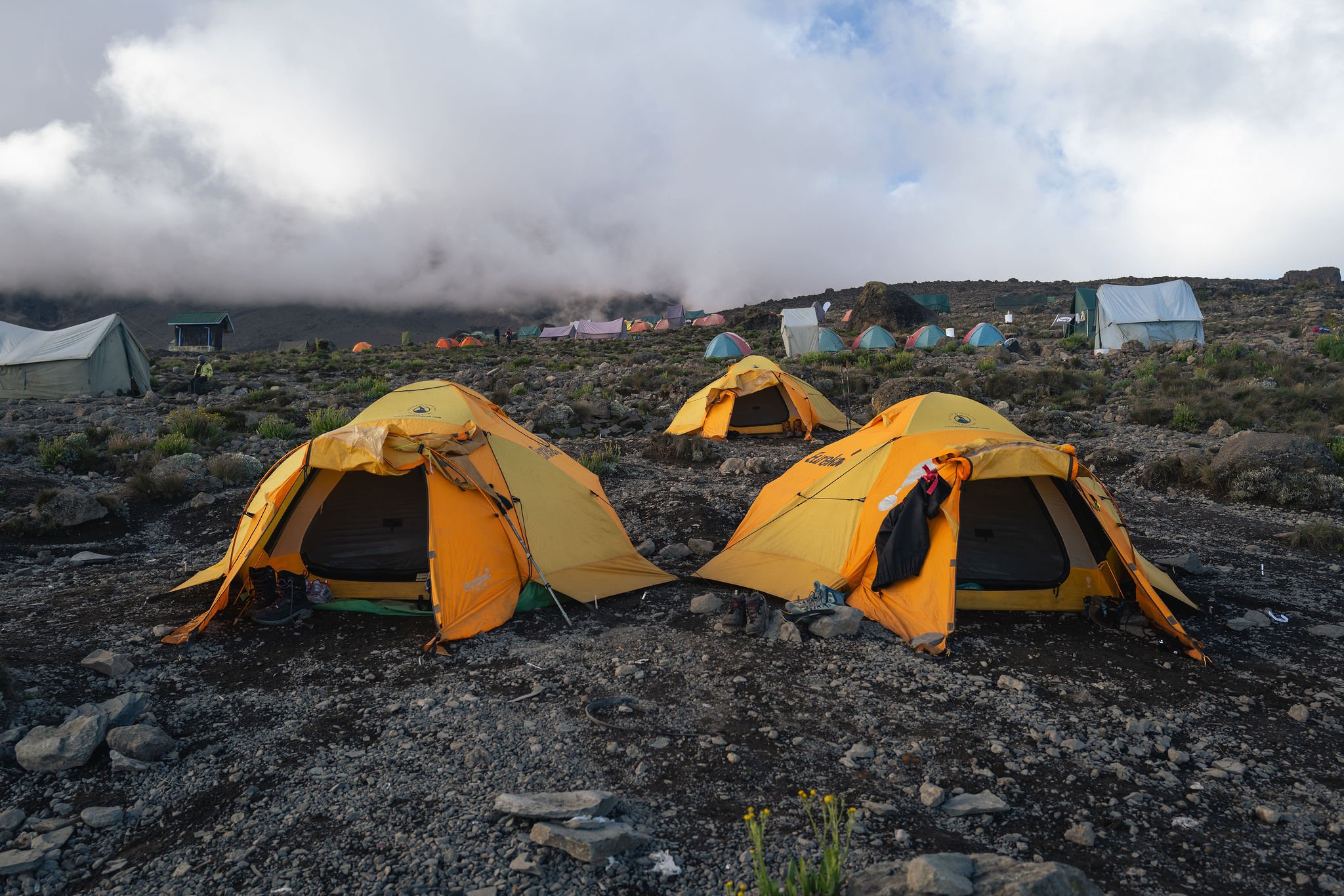 Three yellow tents set up on a rocky, volcanic landscape with more tents and small structures in the background under cloudy skies.