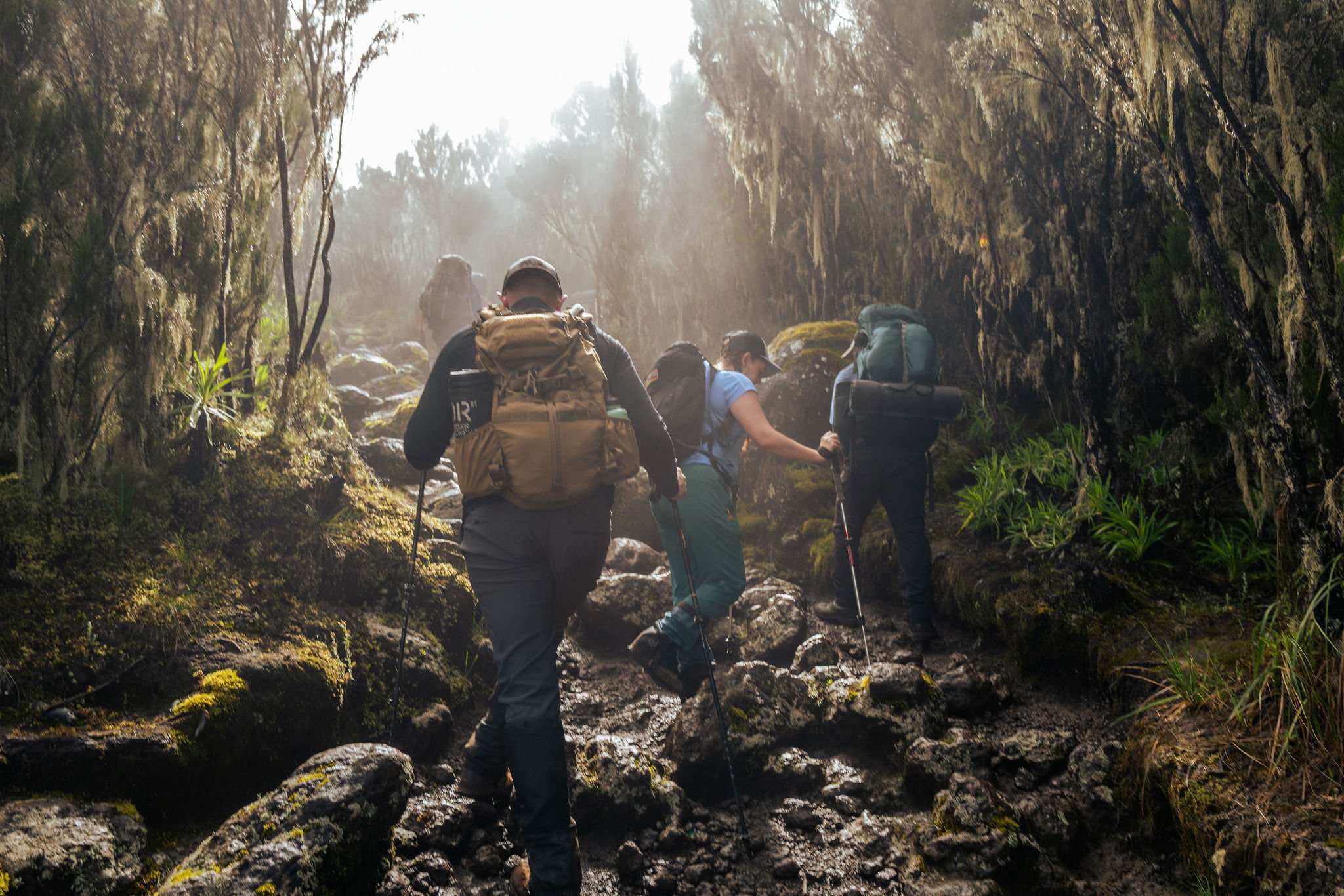 Group of four hikers ascending a rocky trail in a forest during daytime.