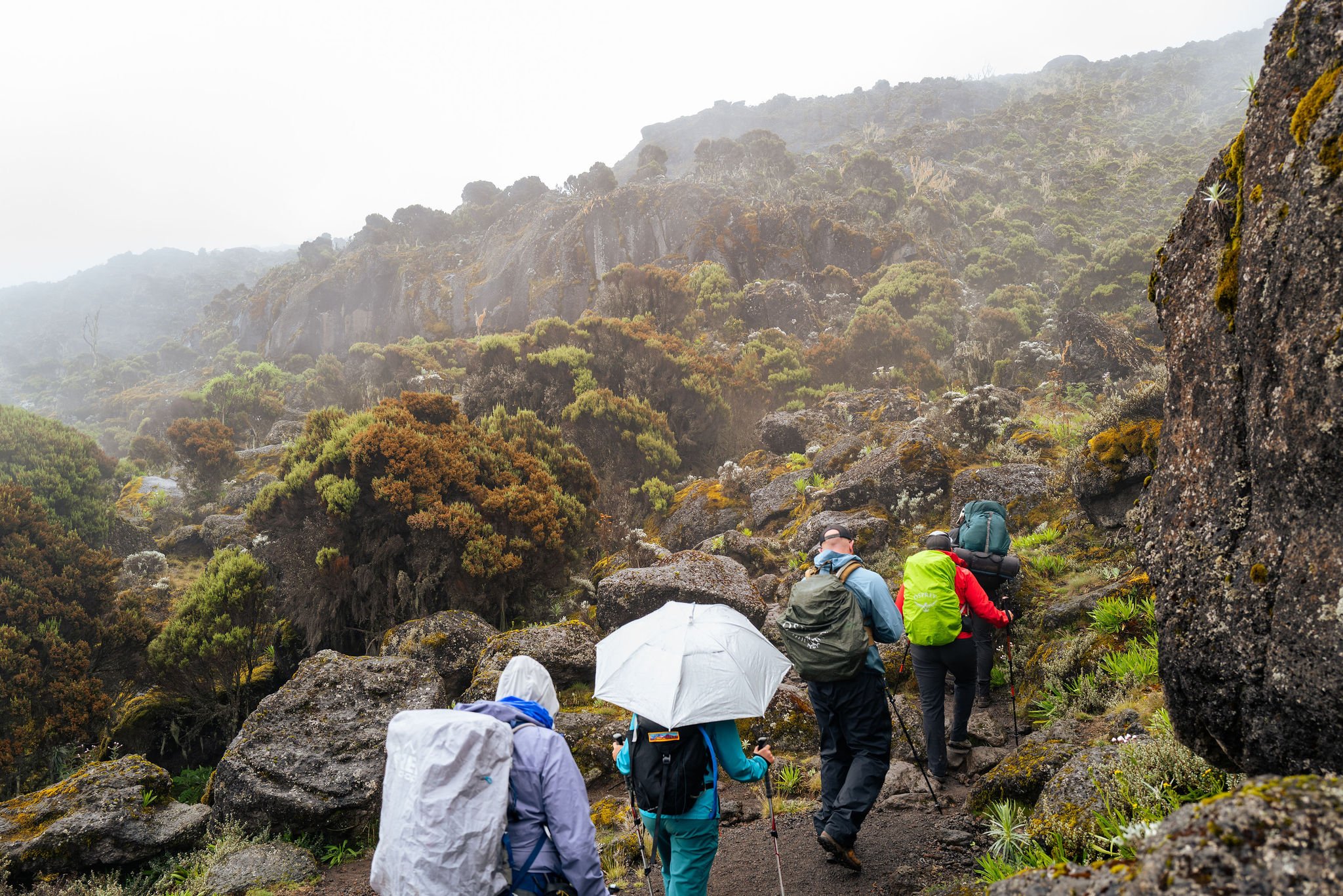 Group of four hikers walking along a rocky trail in a foggy, mountainous landscape, some carrying backpacks and one using an umbrella.