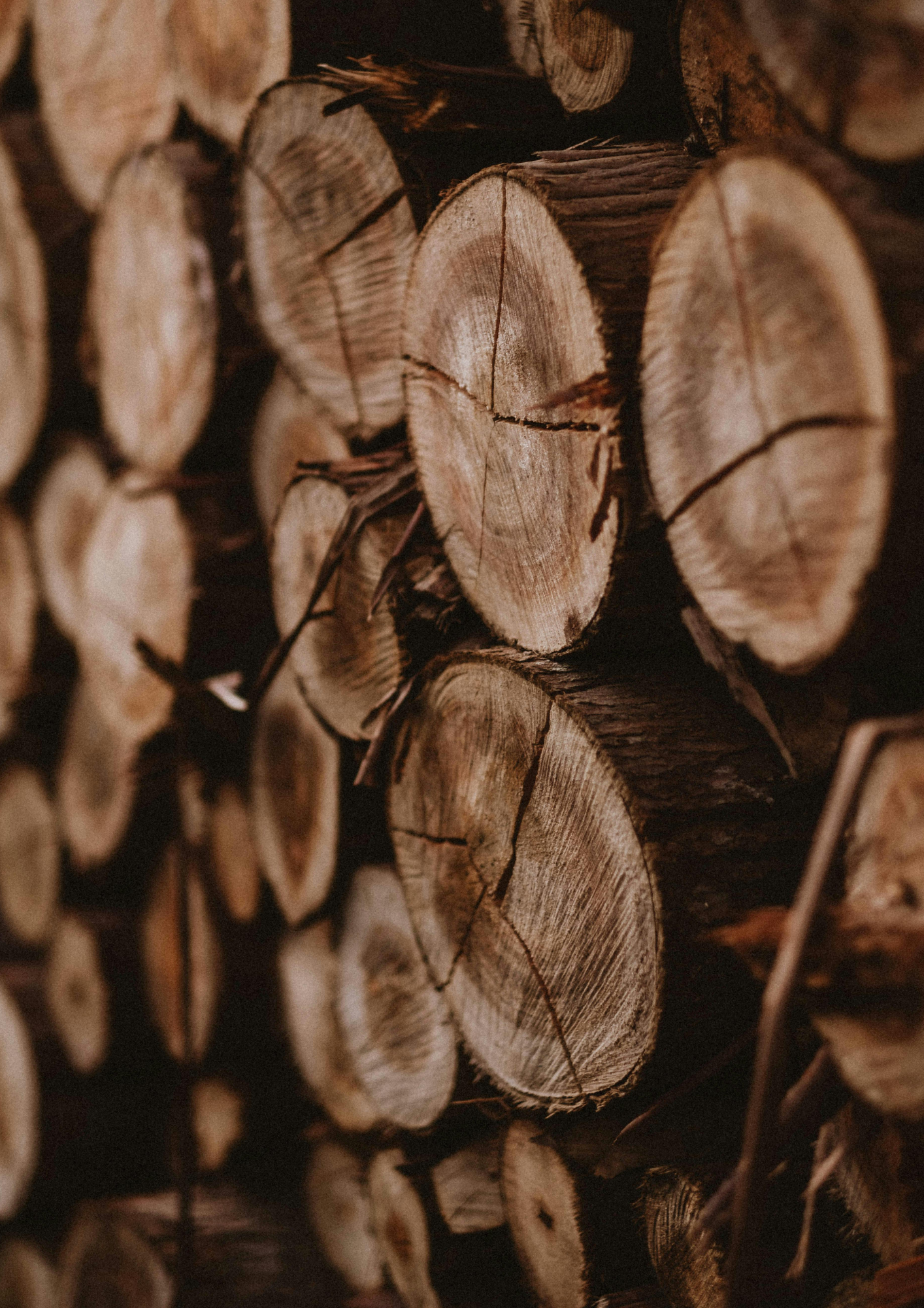 Aulne et épicéa : les bois secrets d'un sauna finlandais authentique