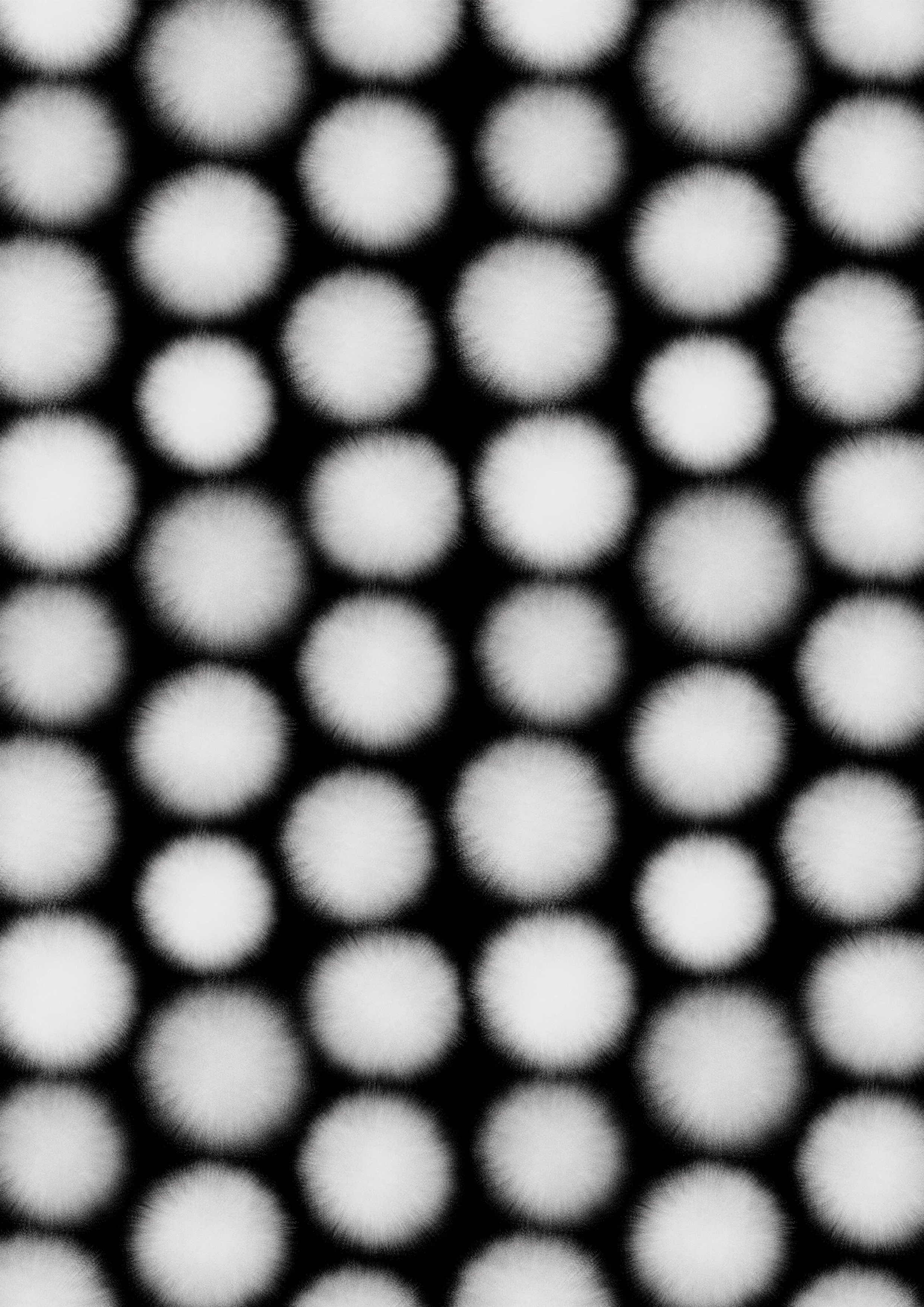 Blurry Polka.jpg
