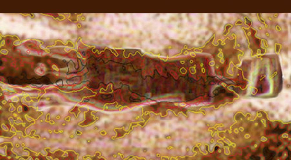 kellysmap+copy.jpg