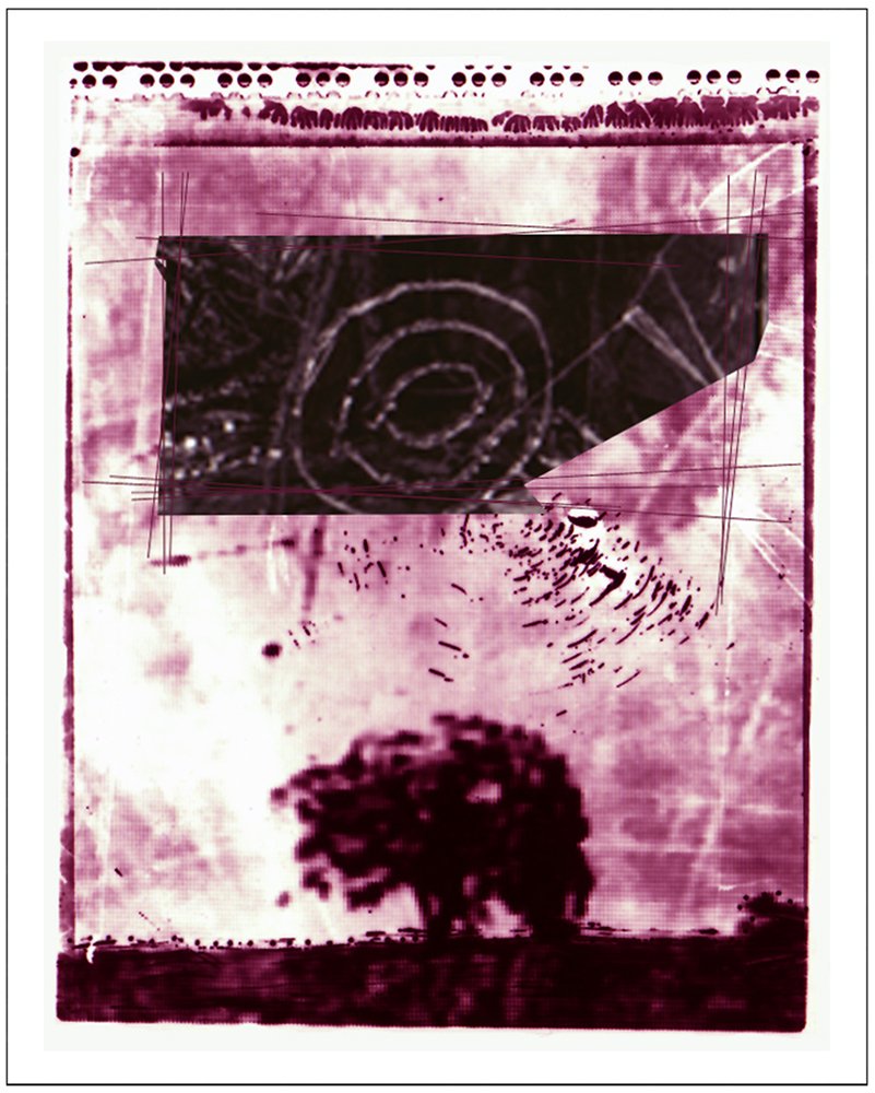 A black and white photo of a tree on a field with a spiral shape pattern above it, overlaid with textured pink and purple filters, and some abstract line and dot patterns.