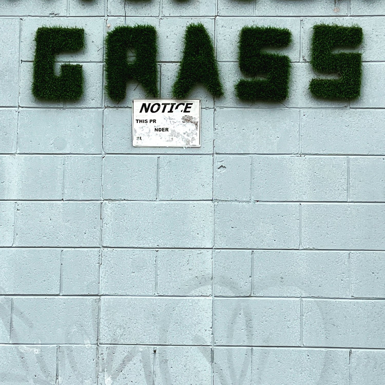 Green moss letters spelling 'GASS' mounted on a gray cinder block wall, with a partially obscured and damaged notice sign below.