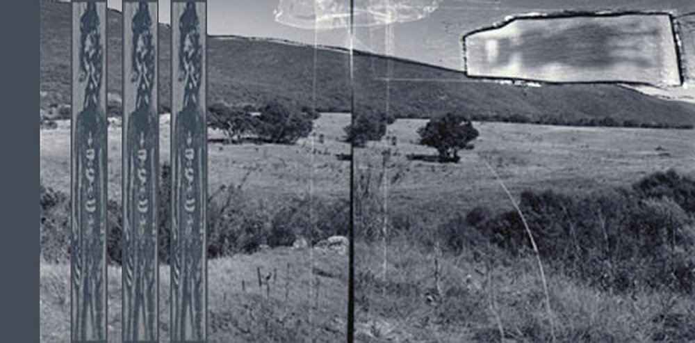 A reflective glass window showing an outdoor landscape with grass, trees, and a cloudy sky, with three vertical decorative metal bars on the left side.