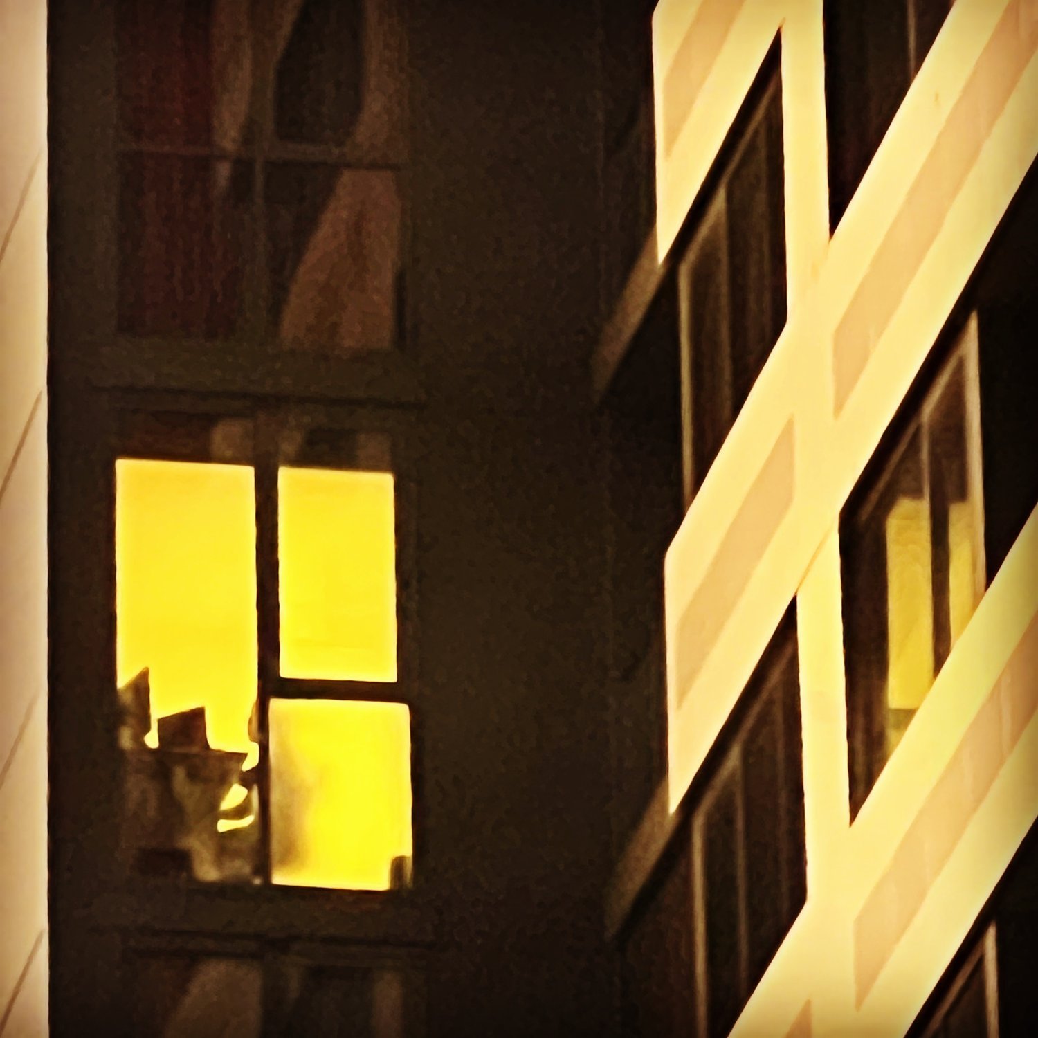Close-up of illuminated building windows at night, with warm yellow light shining through on a dark facade.