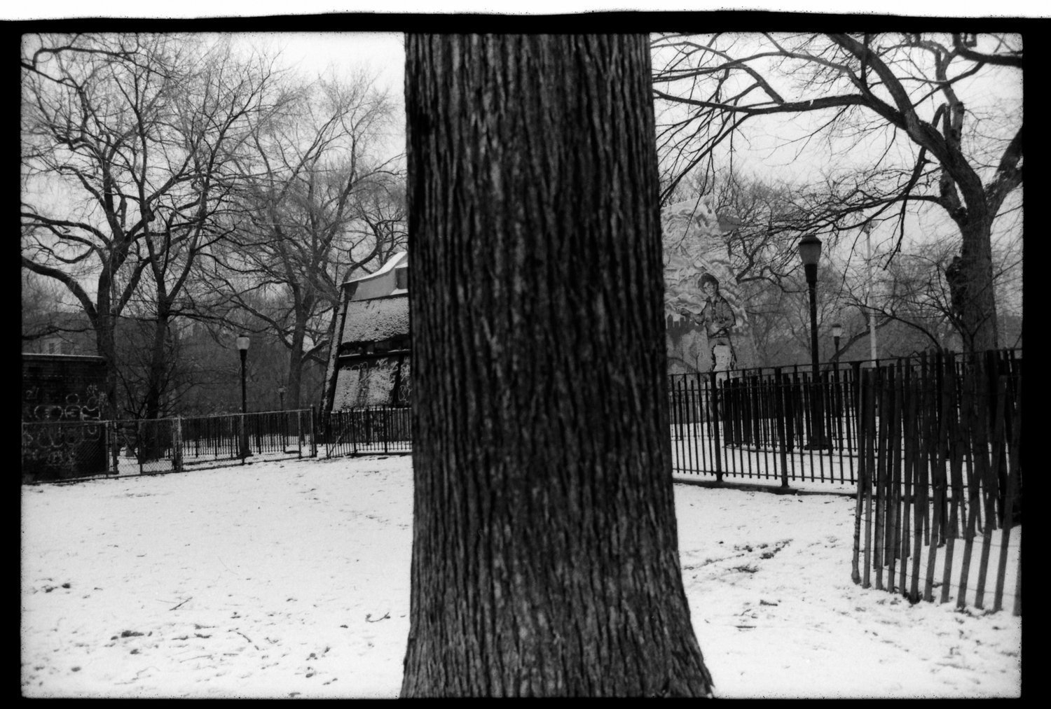Black and white photo of a snow-covered park with leafless trees, a wooden fence, and a large tree trunk in the foreground. A statue of a person is visible in the background along with street lamps.