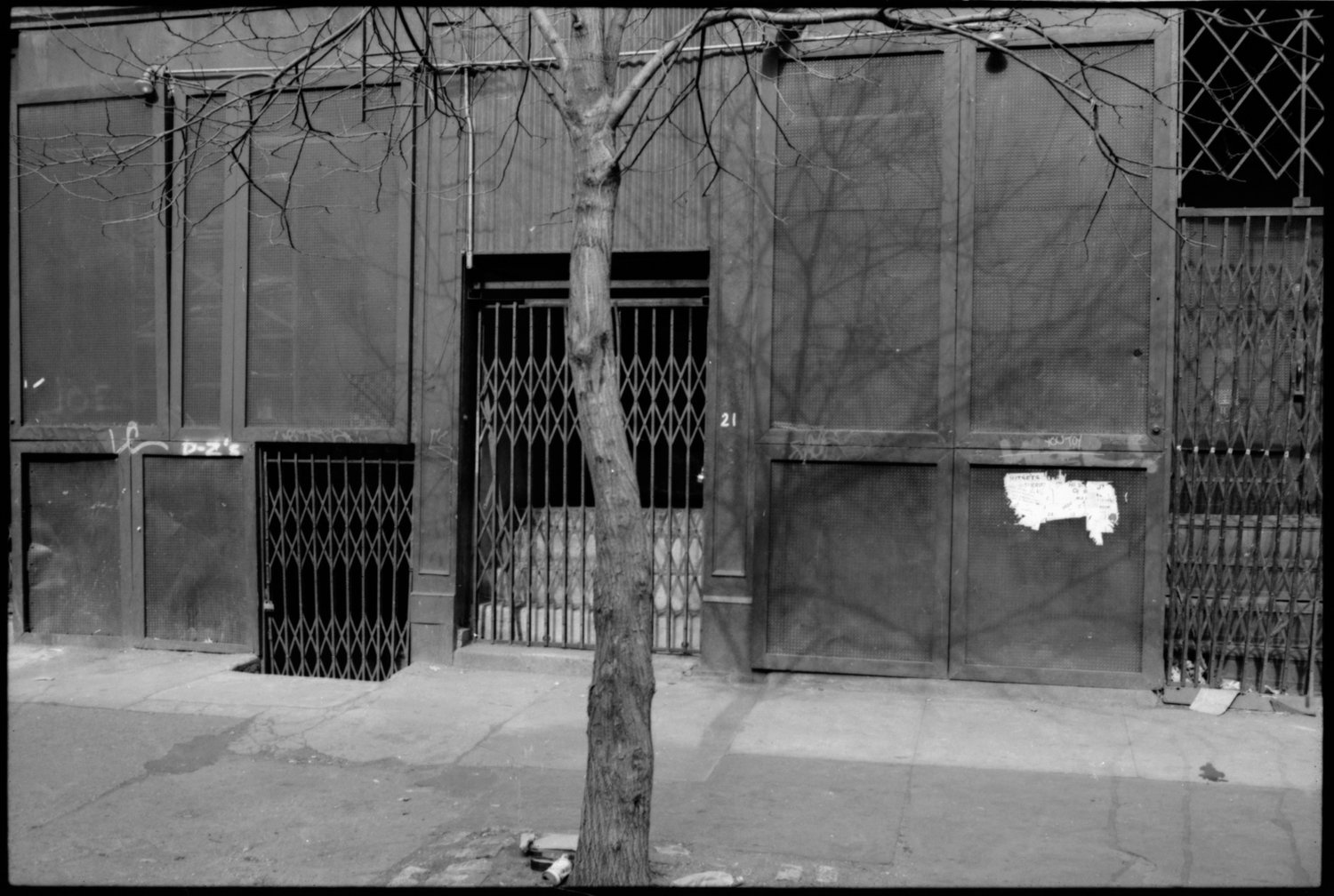 Black and white photo of a building with a gate, a window, and a tree in the foreground cast shadows on the building.