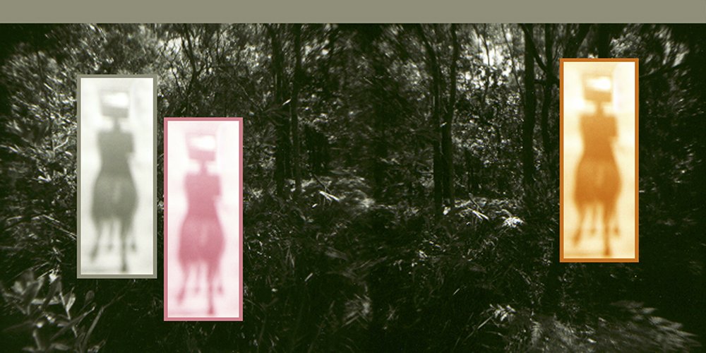 Three vertically-oriented rectangular images showing a blurred horse, set against a background of trees in a forest. The images have different color filters: white, pink, and orange.