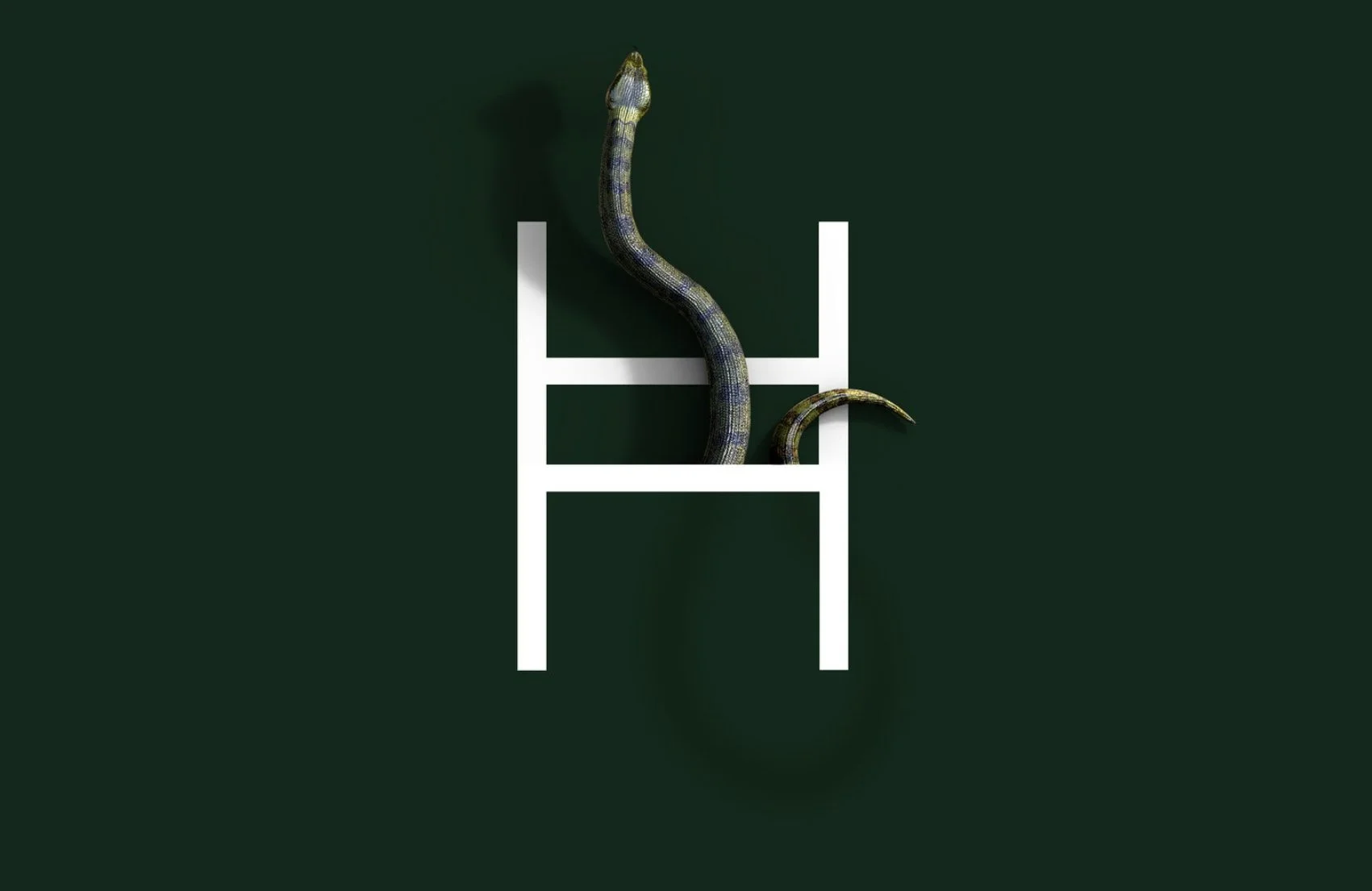 A snake is climbing a white ladder against a dark green background.