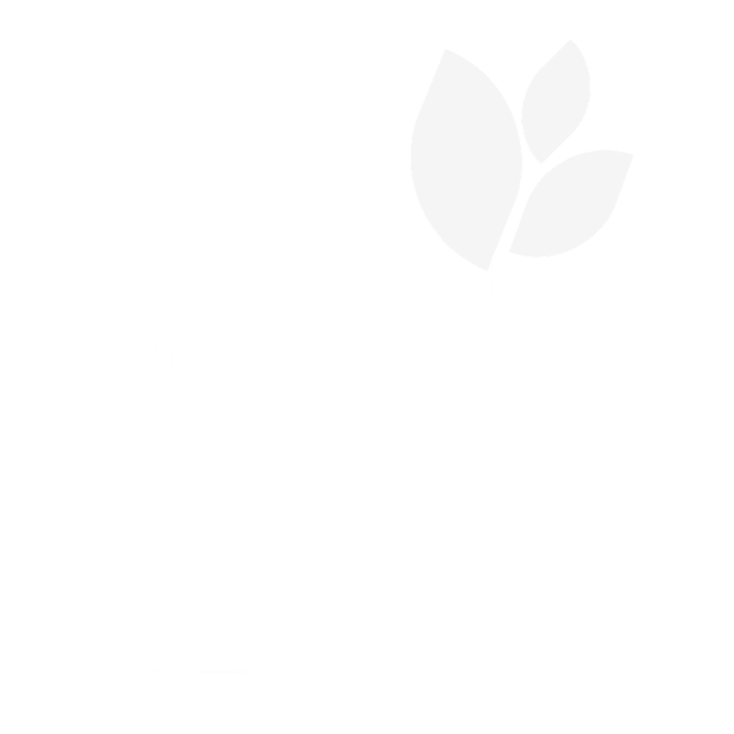 Flourish Digital Marketing