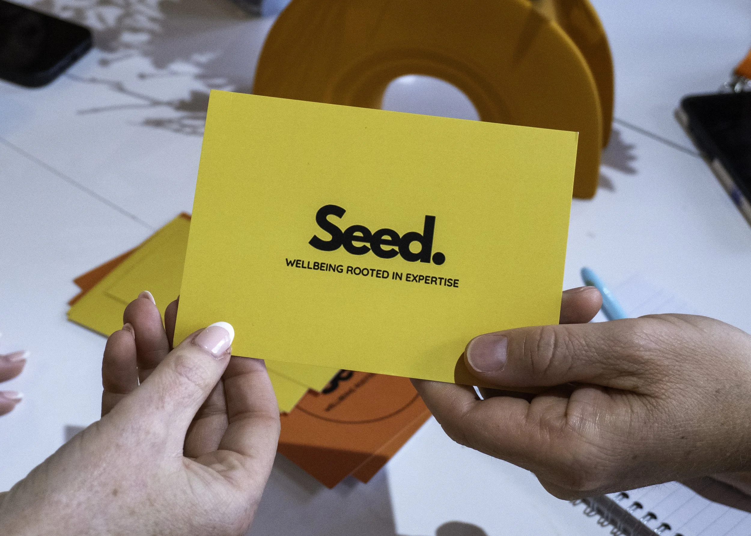 Seed-wellbeing-5.jpg