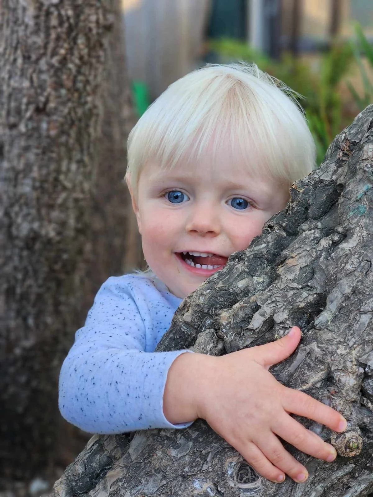 Baby Toddler Preschool