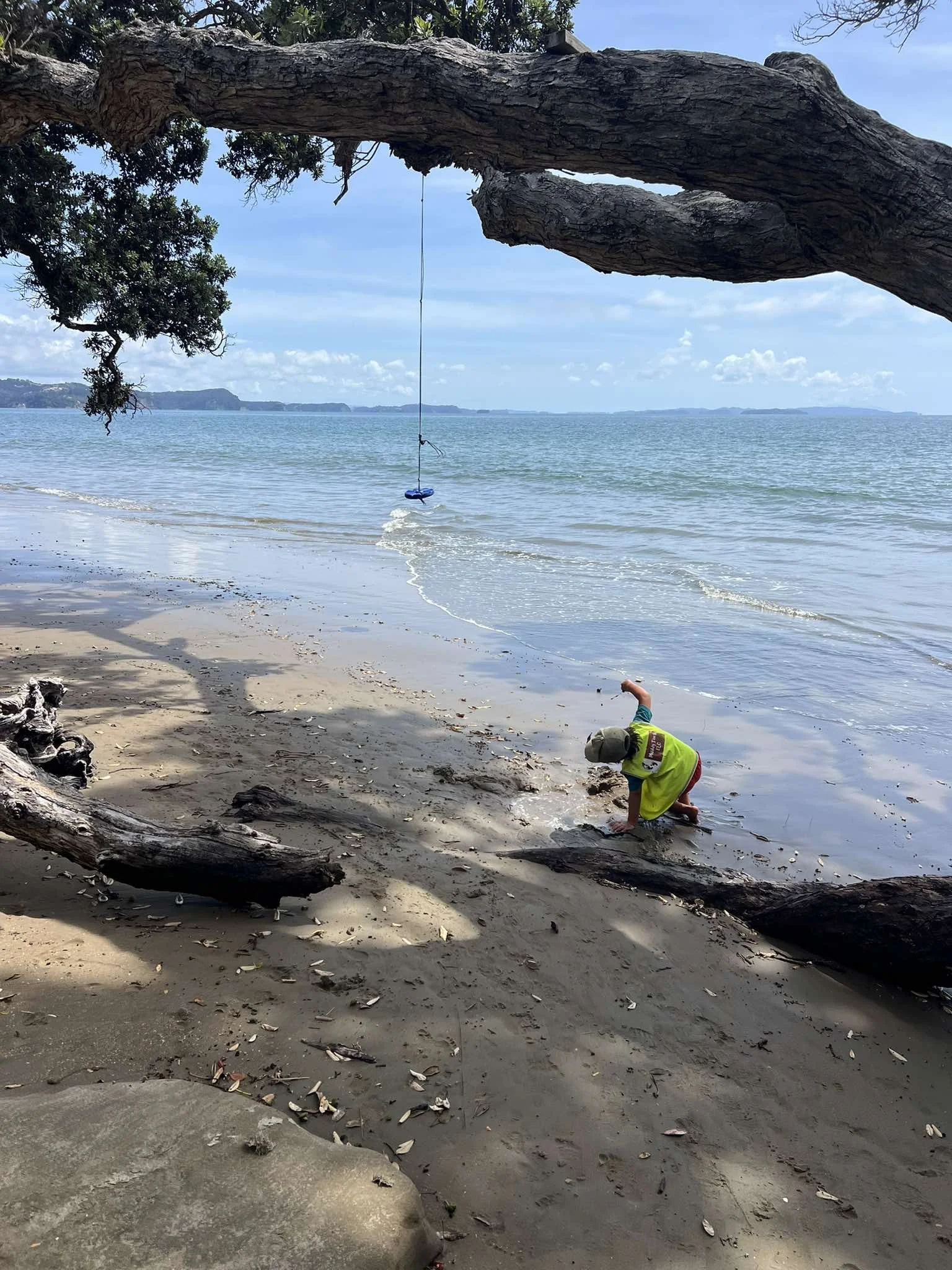 A young child in a yellow shirt and shorts is playing by the shore of a beach, digging in the sand. A large bent tree extends over the beach, with a swing hanging from one of its branches. The scene is peaceful with calm water and a partly cloudy sky.
