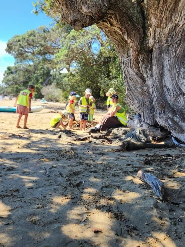 Excursions to the Beach, Bush, Local Community