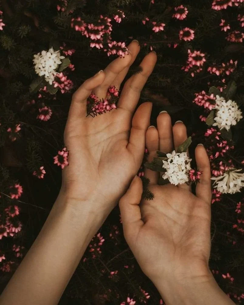 Two hands surrounded by pink and white flowers.